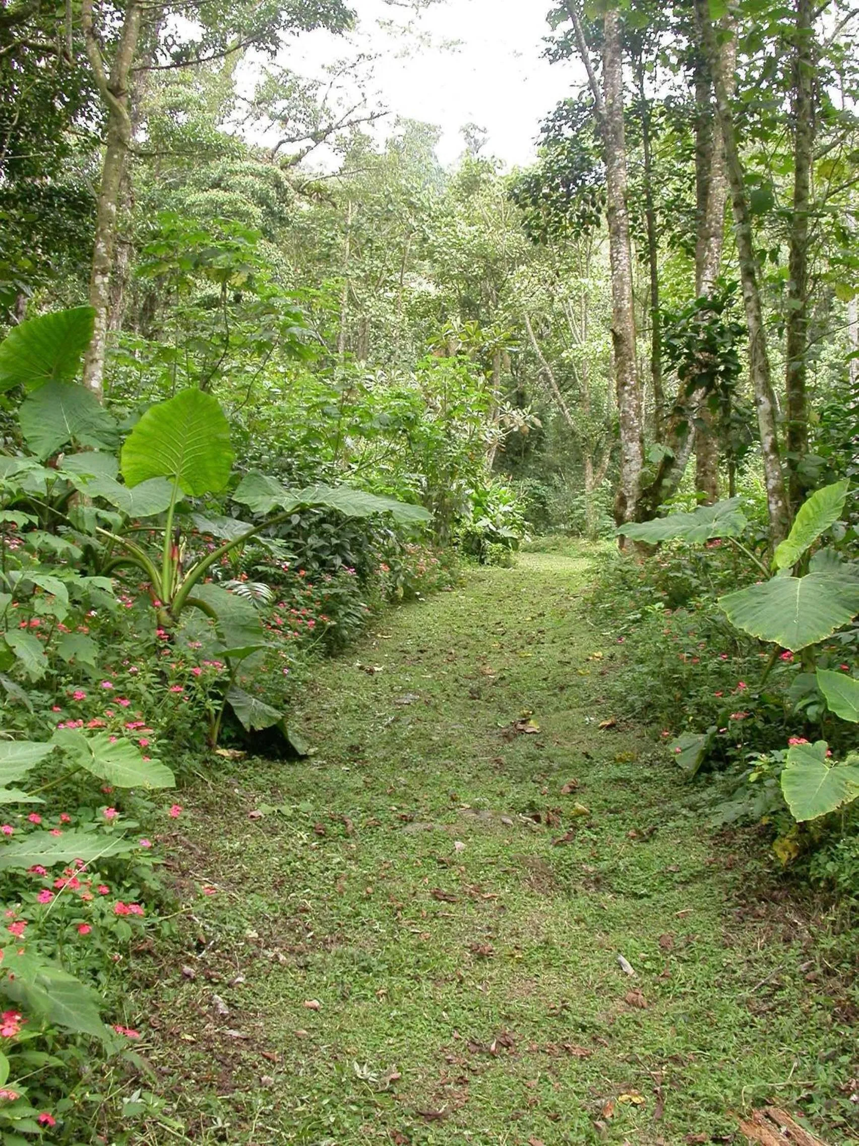 Facade/entrance in Bosque de Paz Reserva Biologica