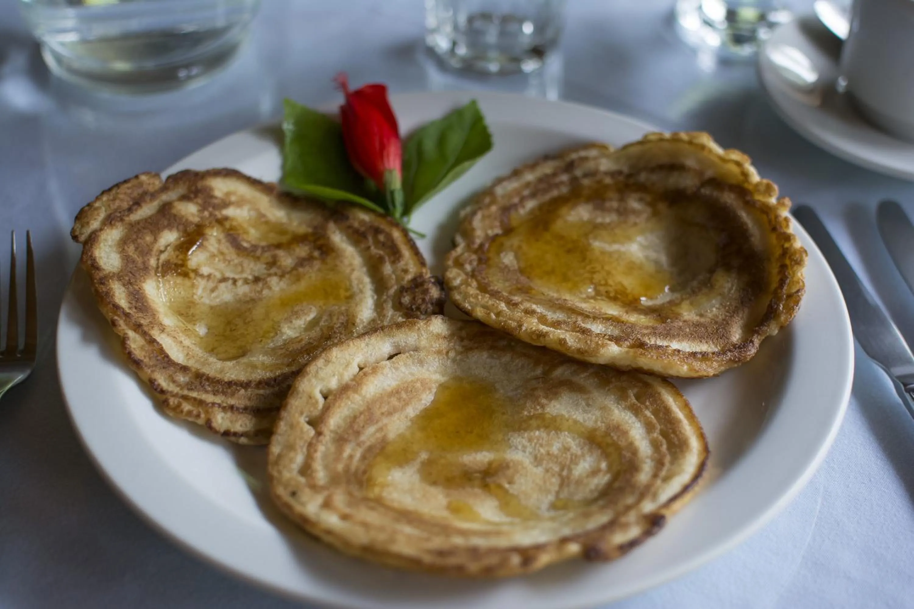 Dining area in Bosque de Paz Reserva Biologica