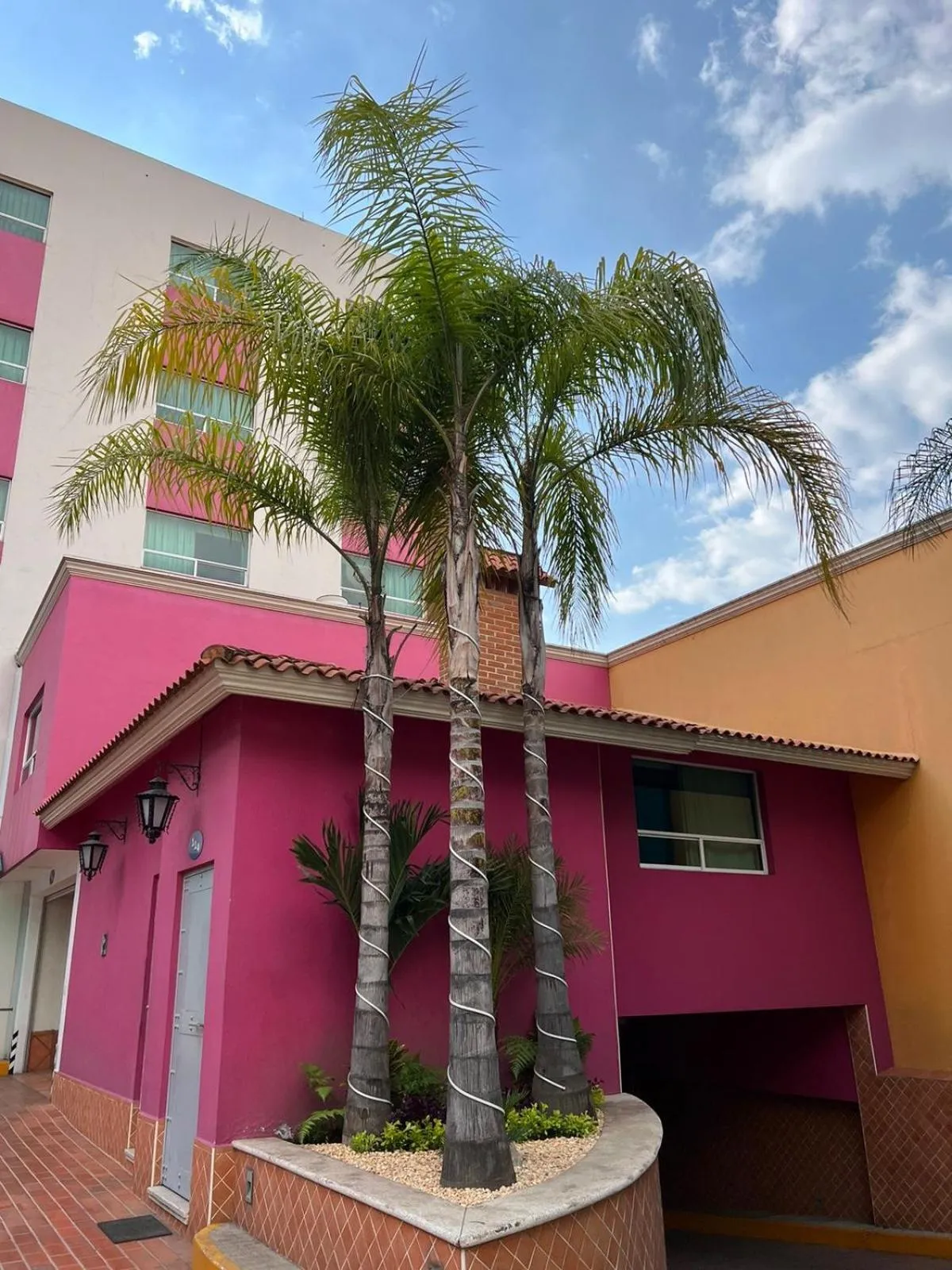 Garden in Hotel & Villas Panamá