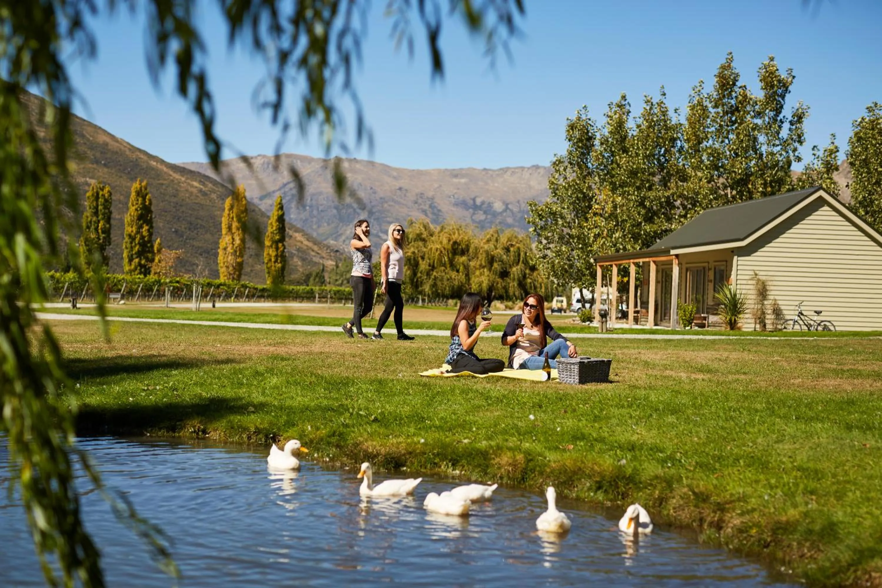 Garden in Cottages at Kinross