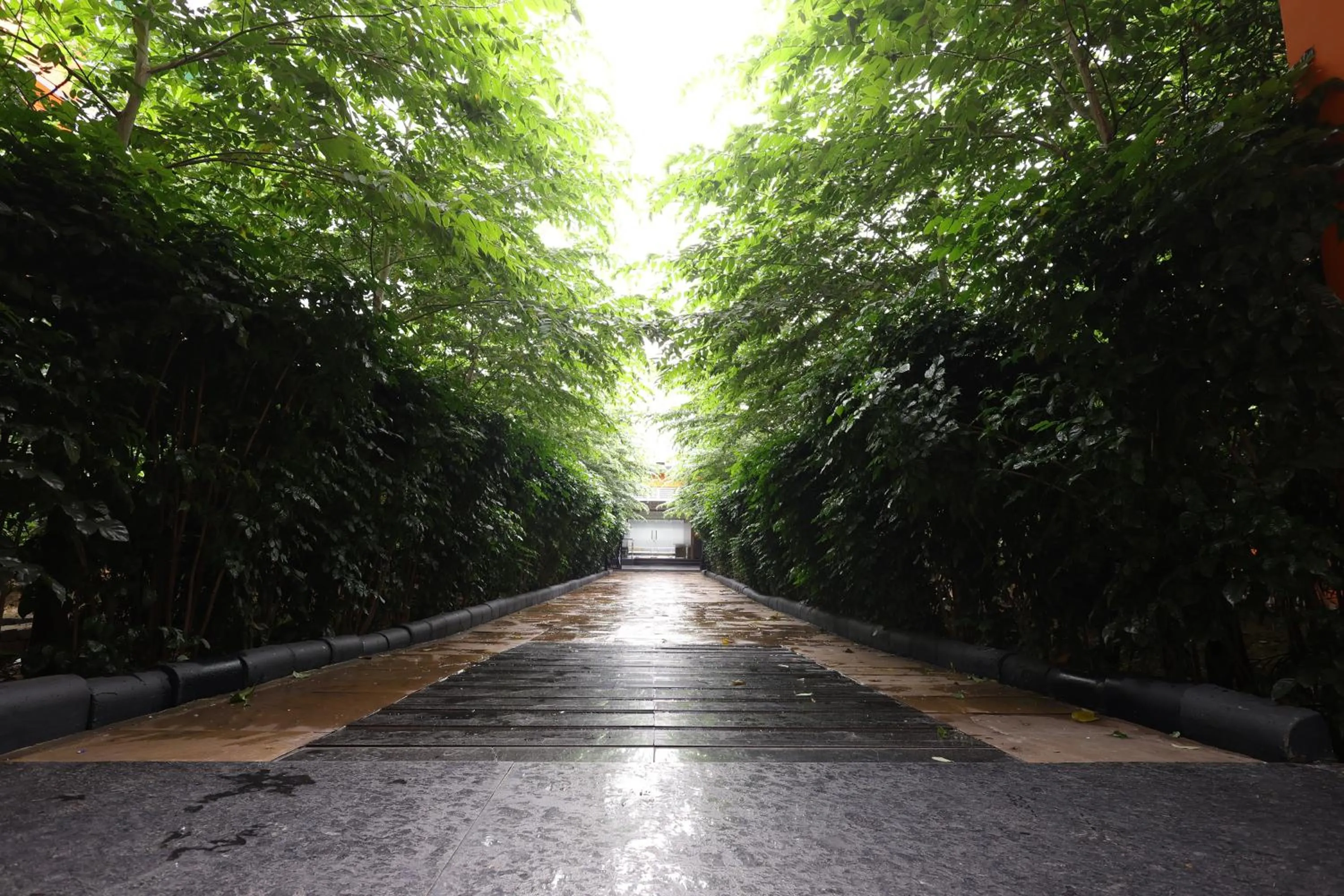 Natural landscape in Mayfair World Cup Village