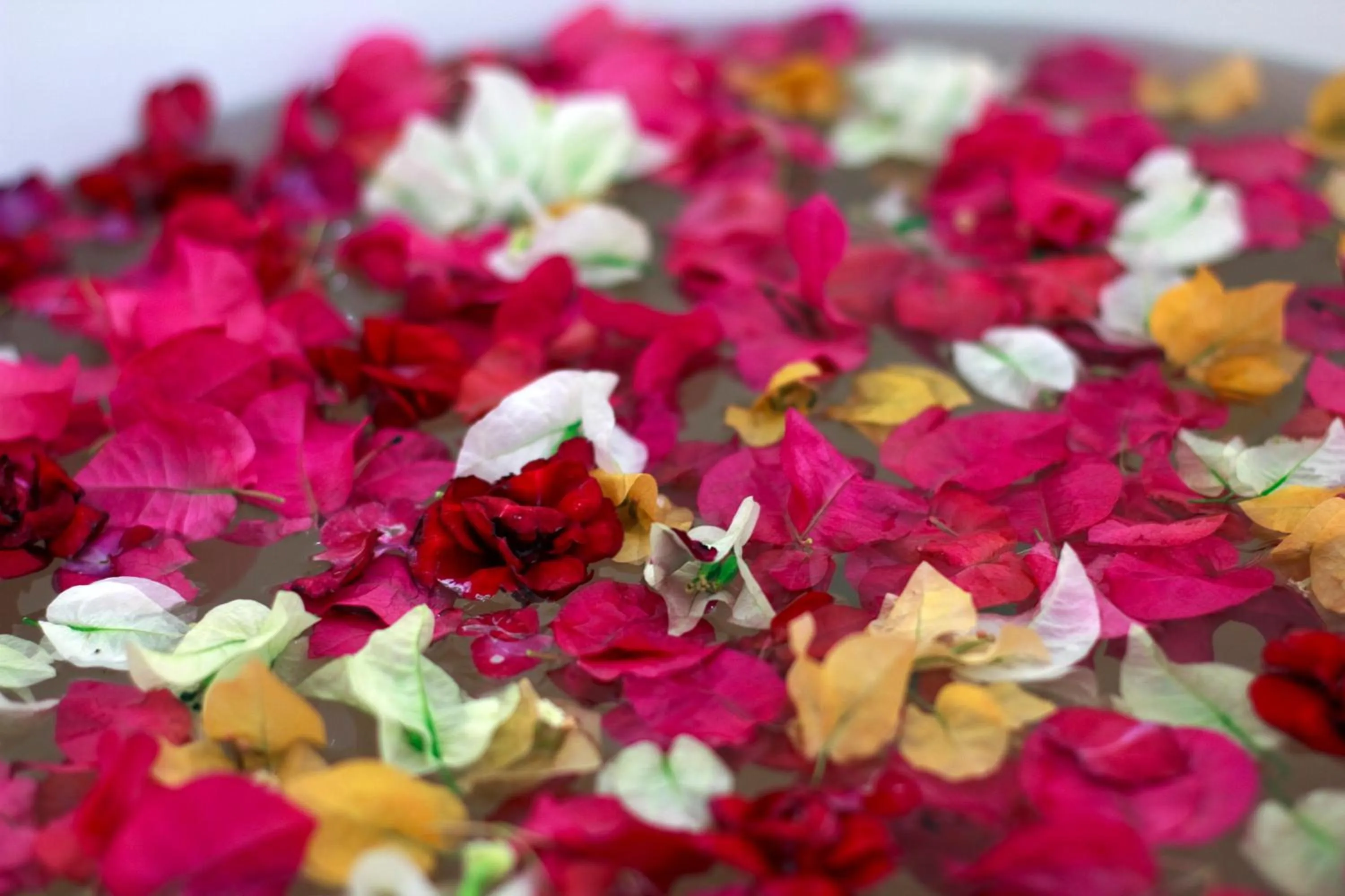 Decorative detail in Heaven Beach Koh Samui