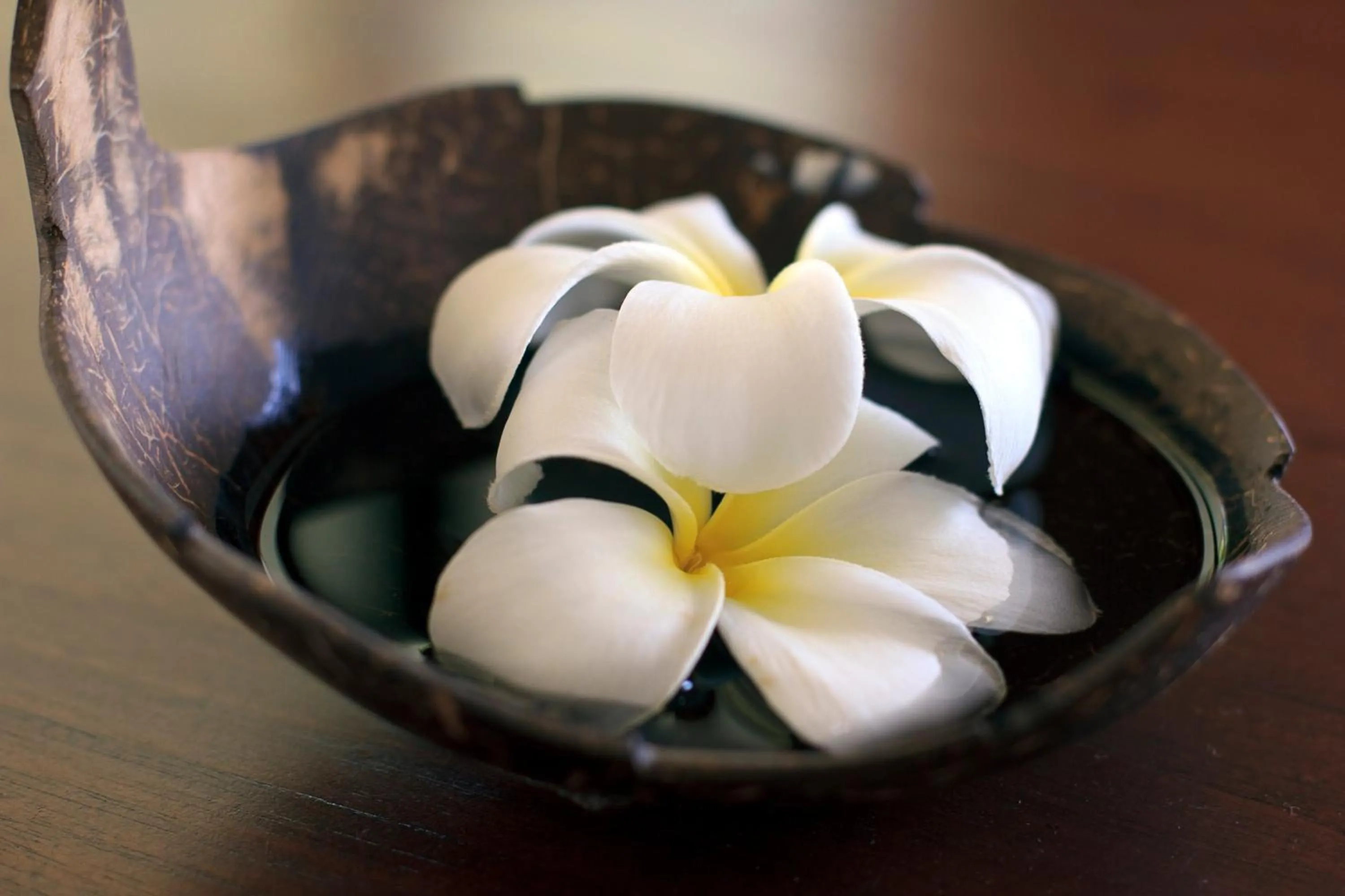 Decorative detail in Heaven Beach Koh Samui