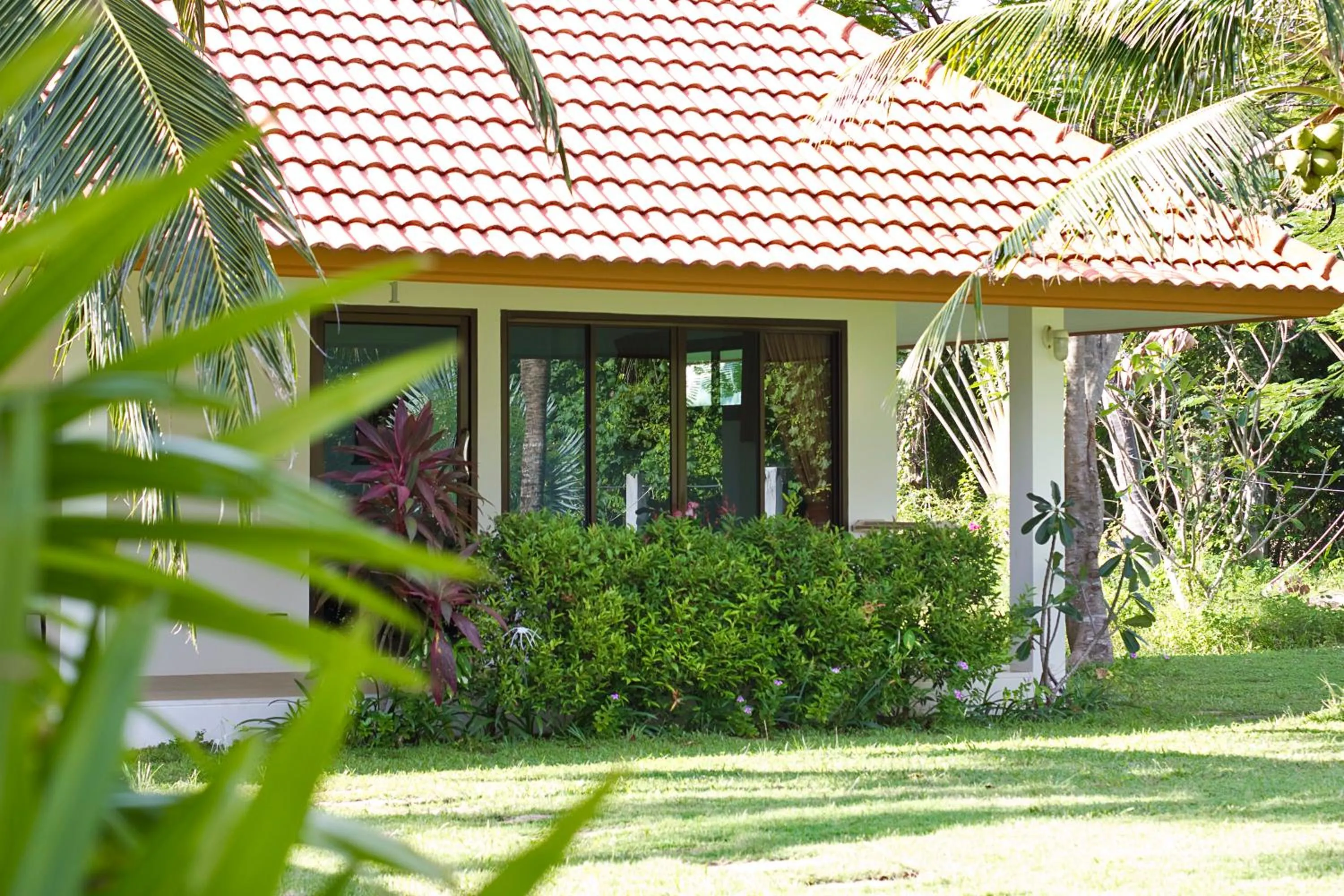 Garden view in Heaven Beach Koh Samui