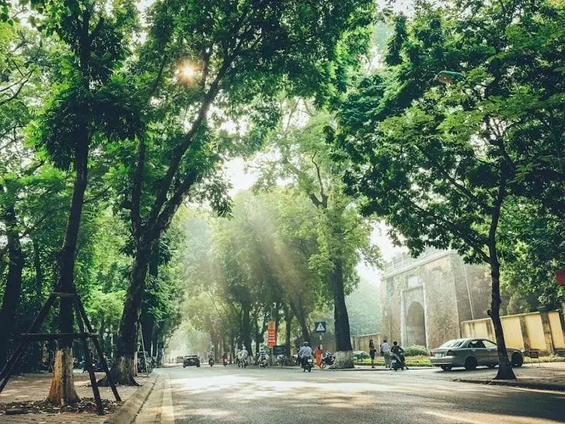 Street view in Skylark Boutique Hotel Street view in Skylark Boutique Hotel