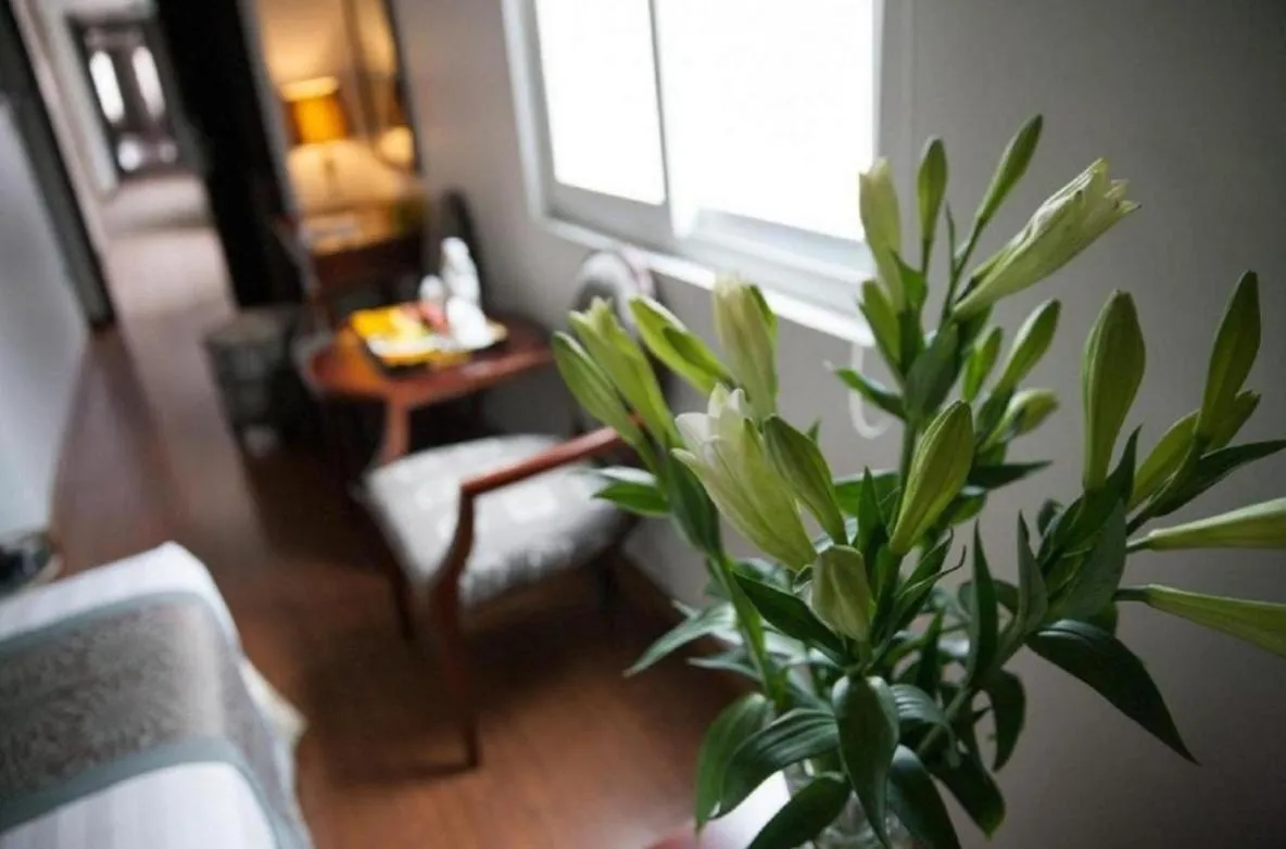 Bedroom, Bed in Skylark Boutique Hotel