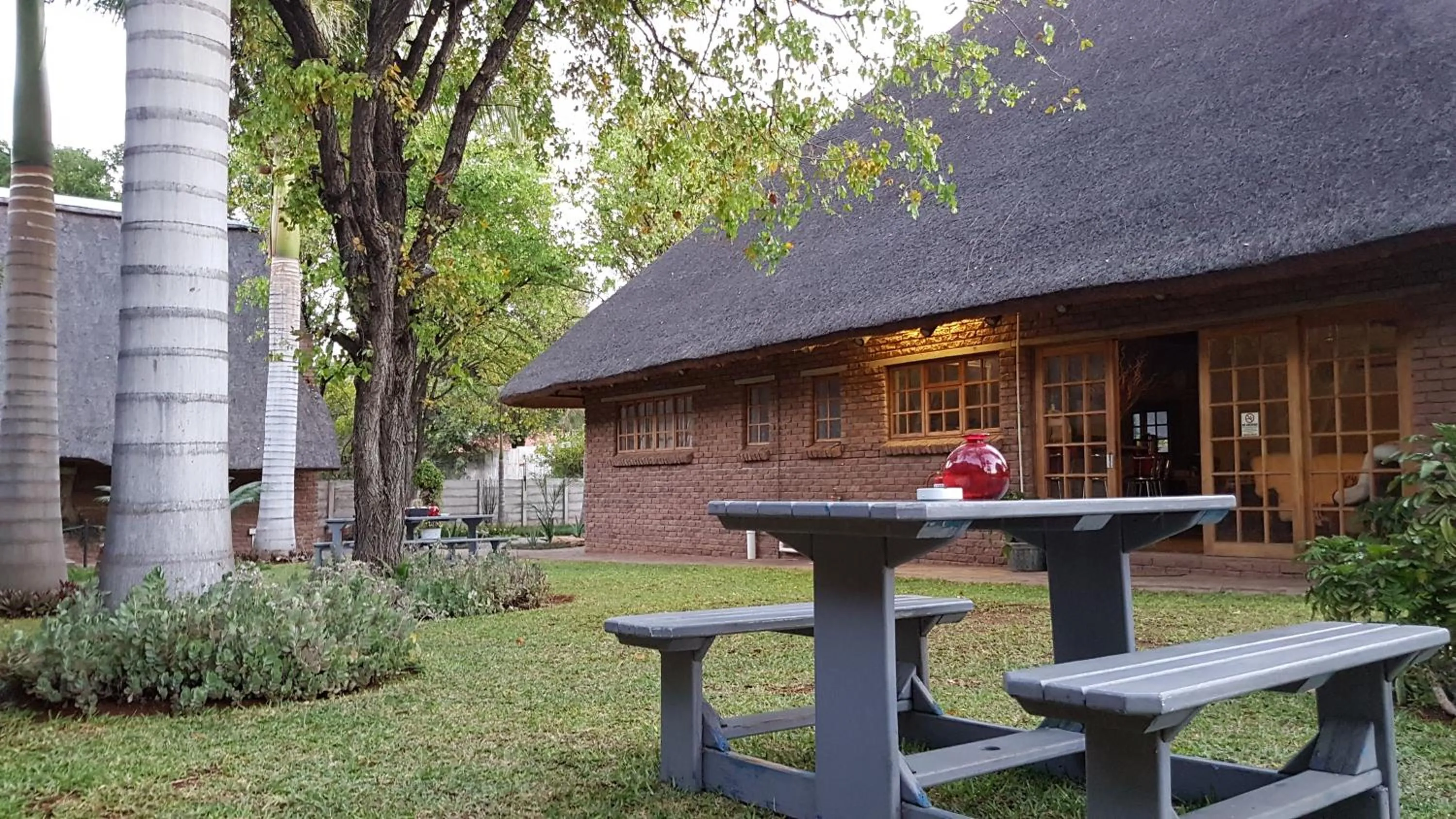 Garden in Siesta Guest House