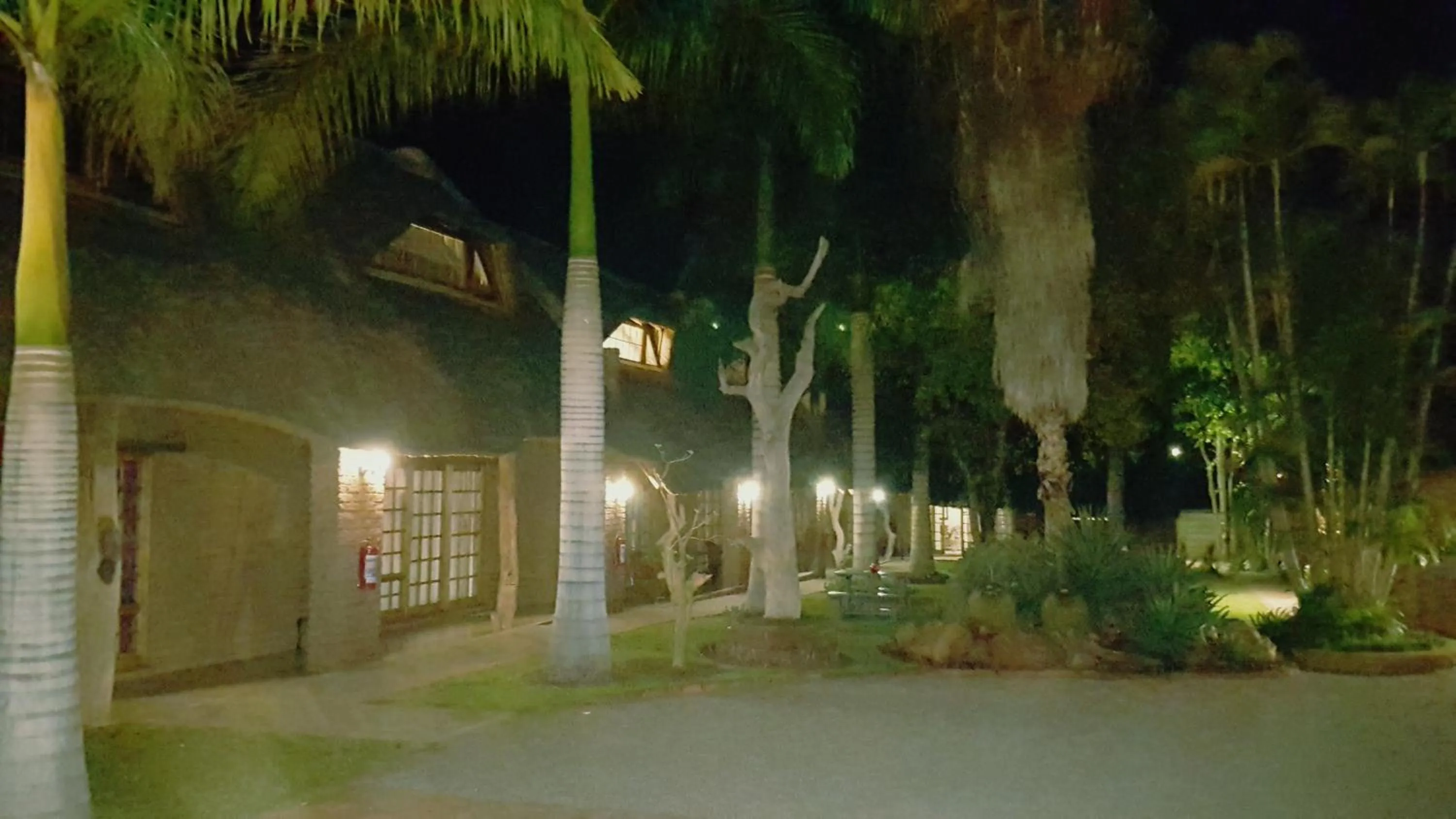 Garden in Siesta Guest House