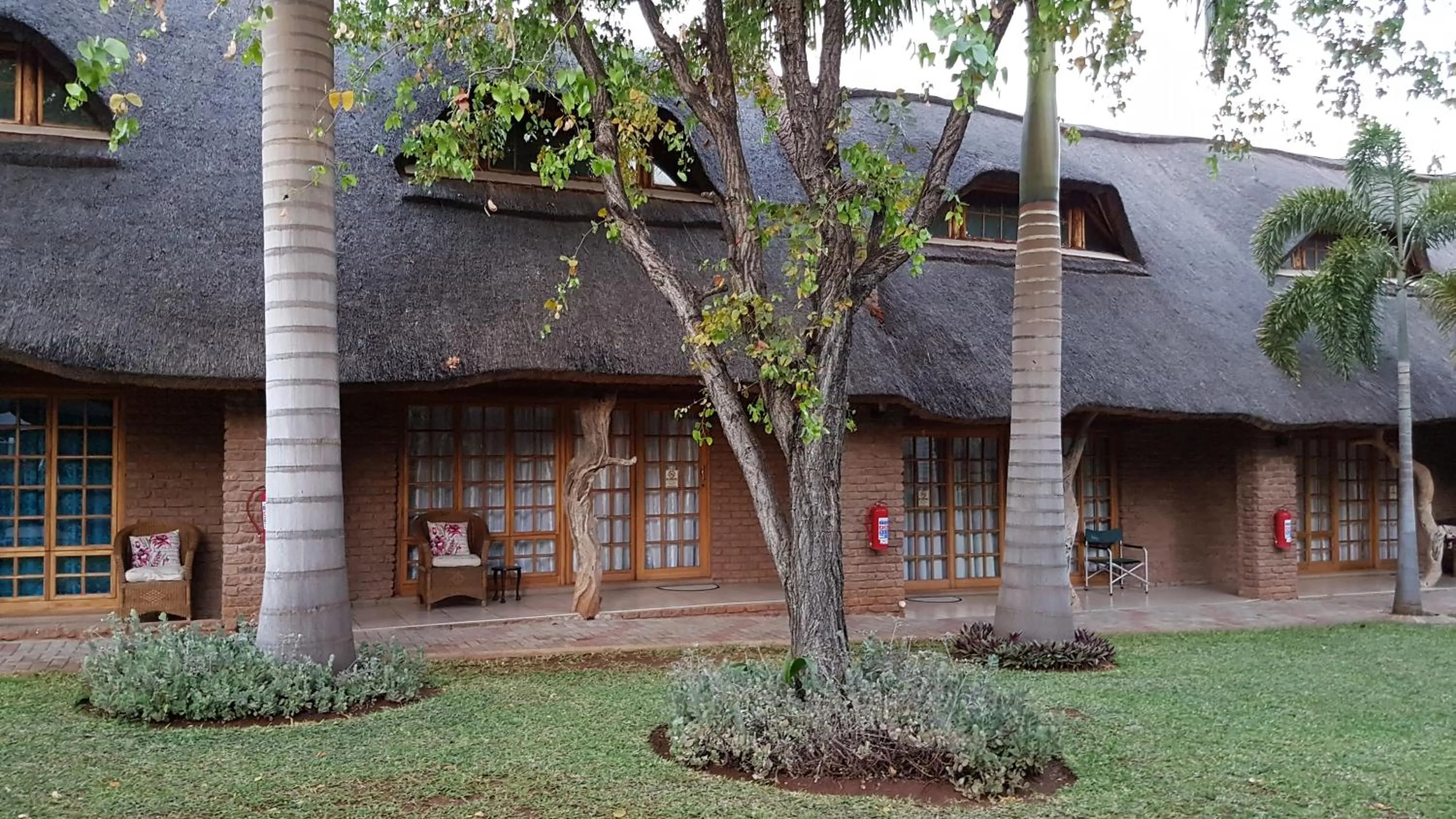 Garden in Siesta Guest House