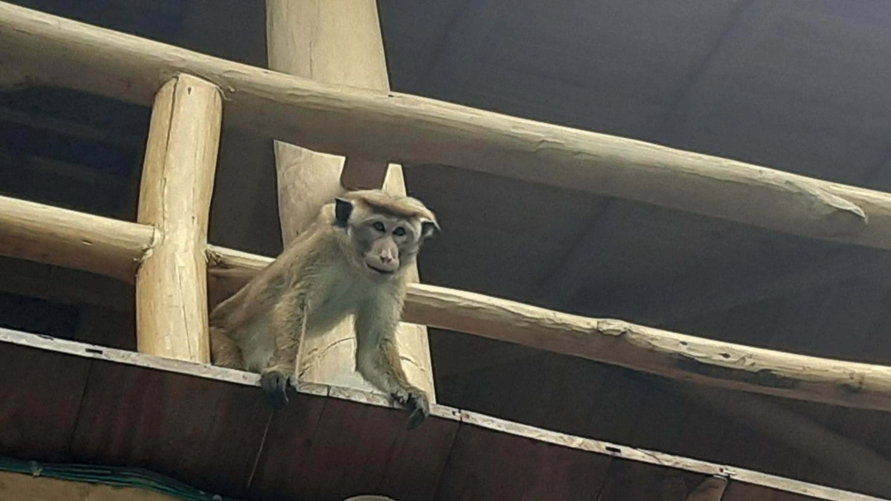 Ganesh Garden Beach Cabanas