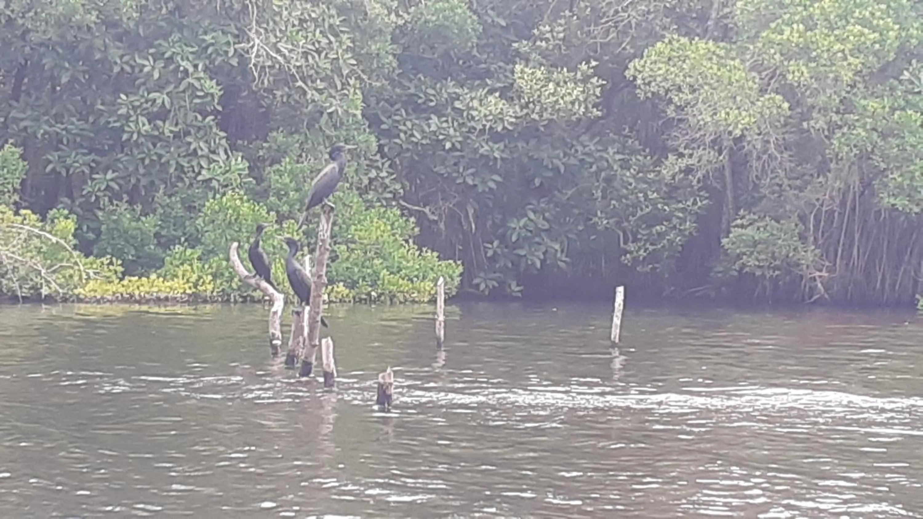 Ganesh Garden Beach Cabanas