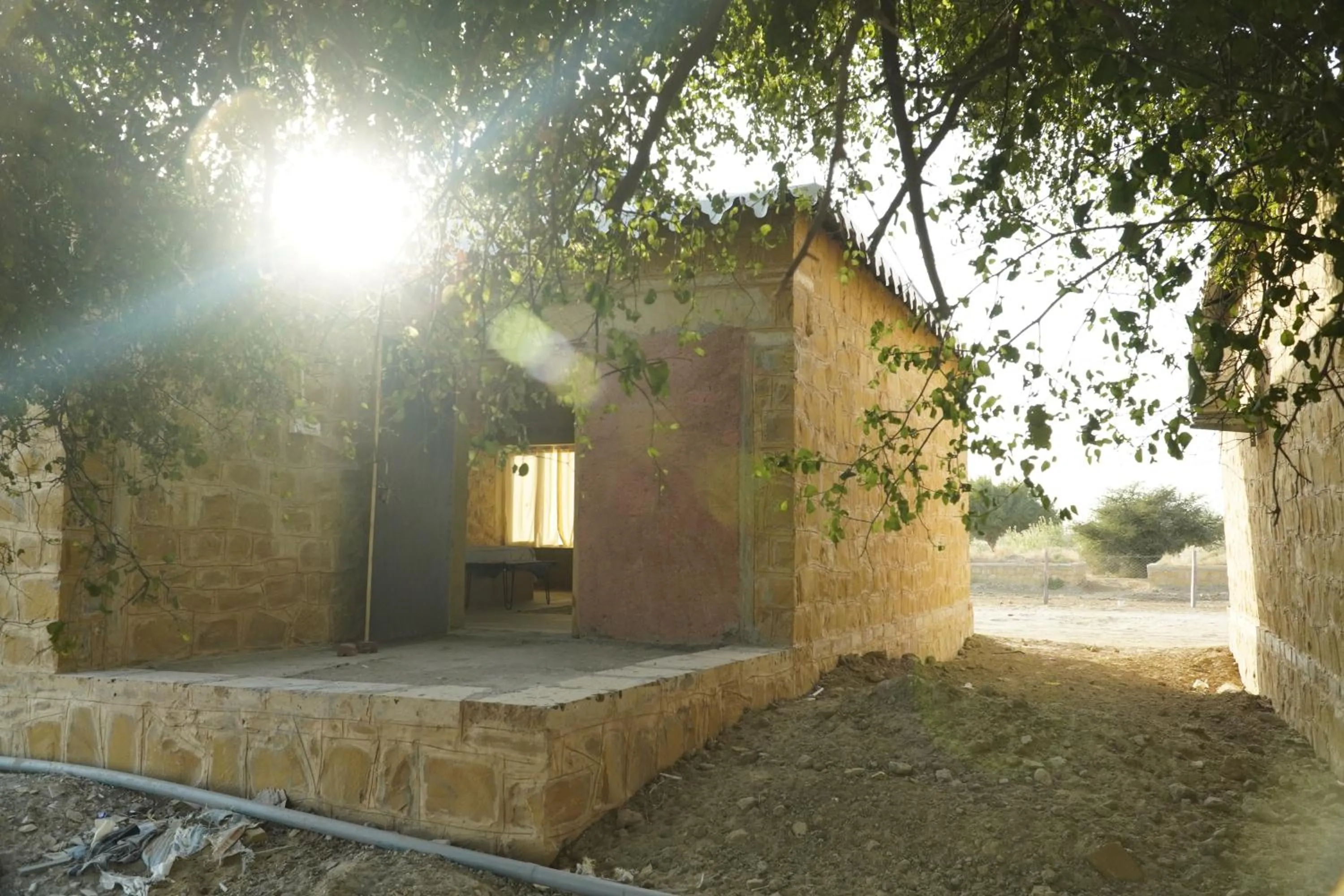 Jaisalmer Abu Safari