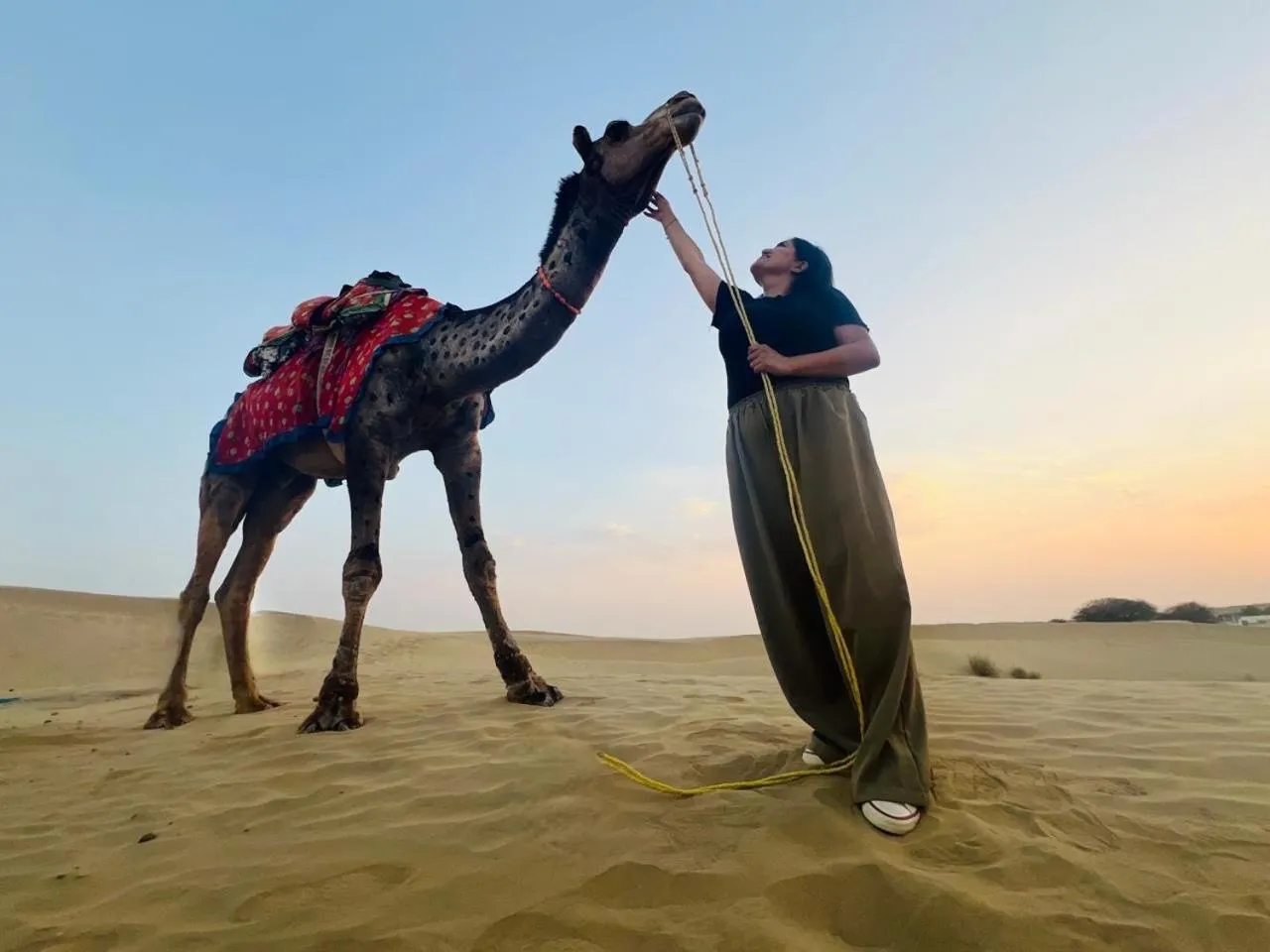 Animals in Life Solora Jaisalmer