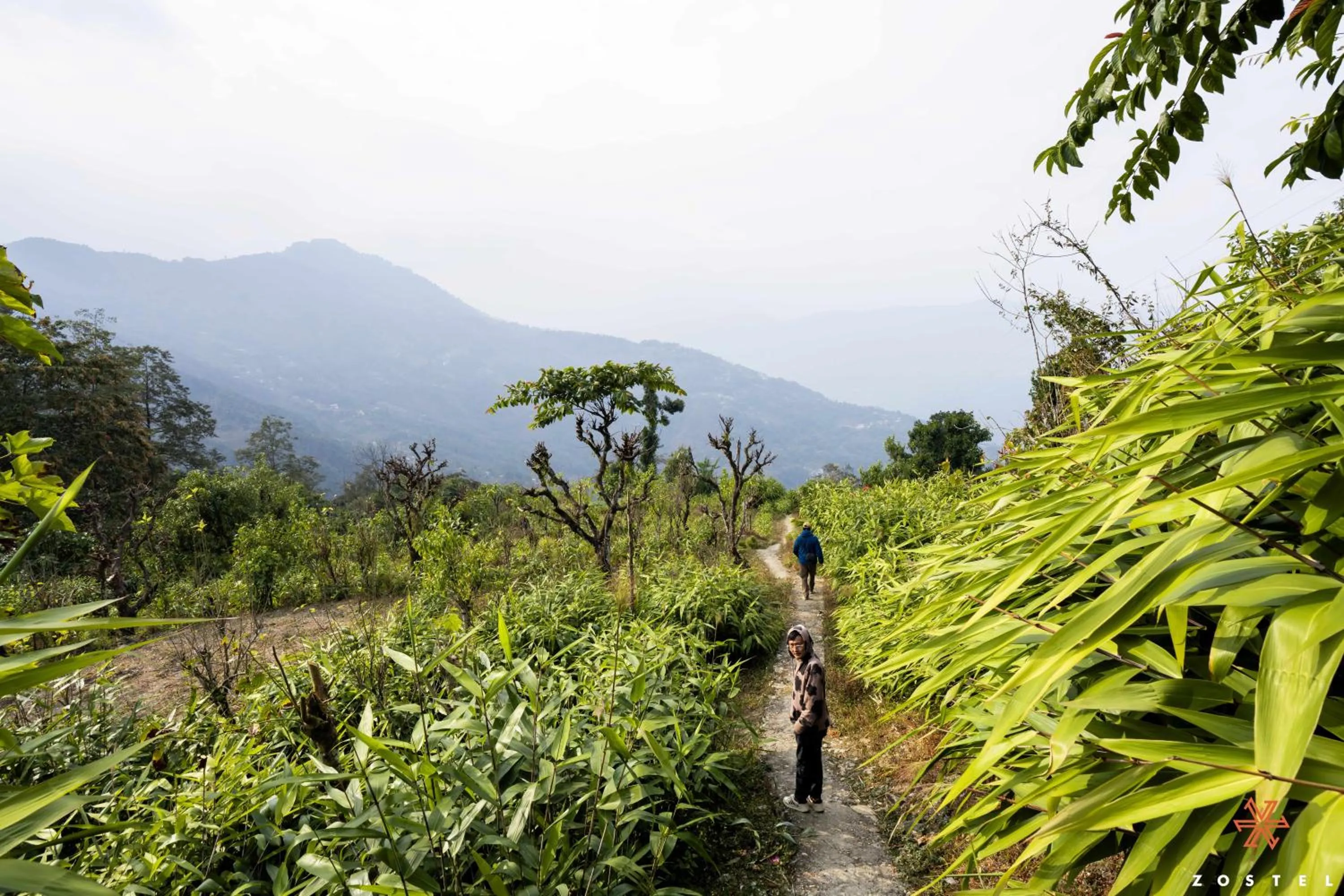 Neighbourhood in Zostel Rinchenpong (Pelling)