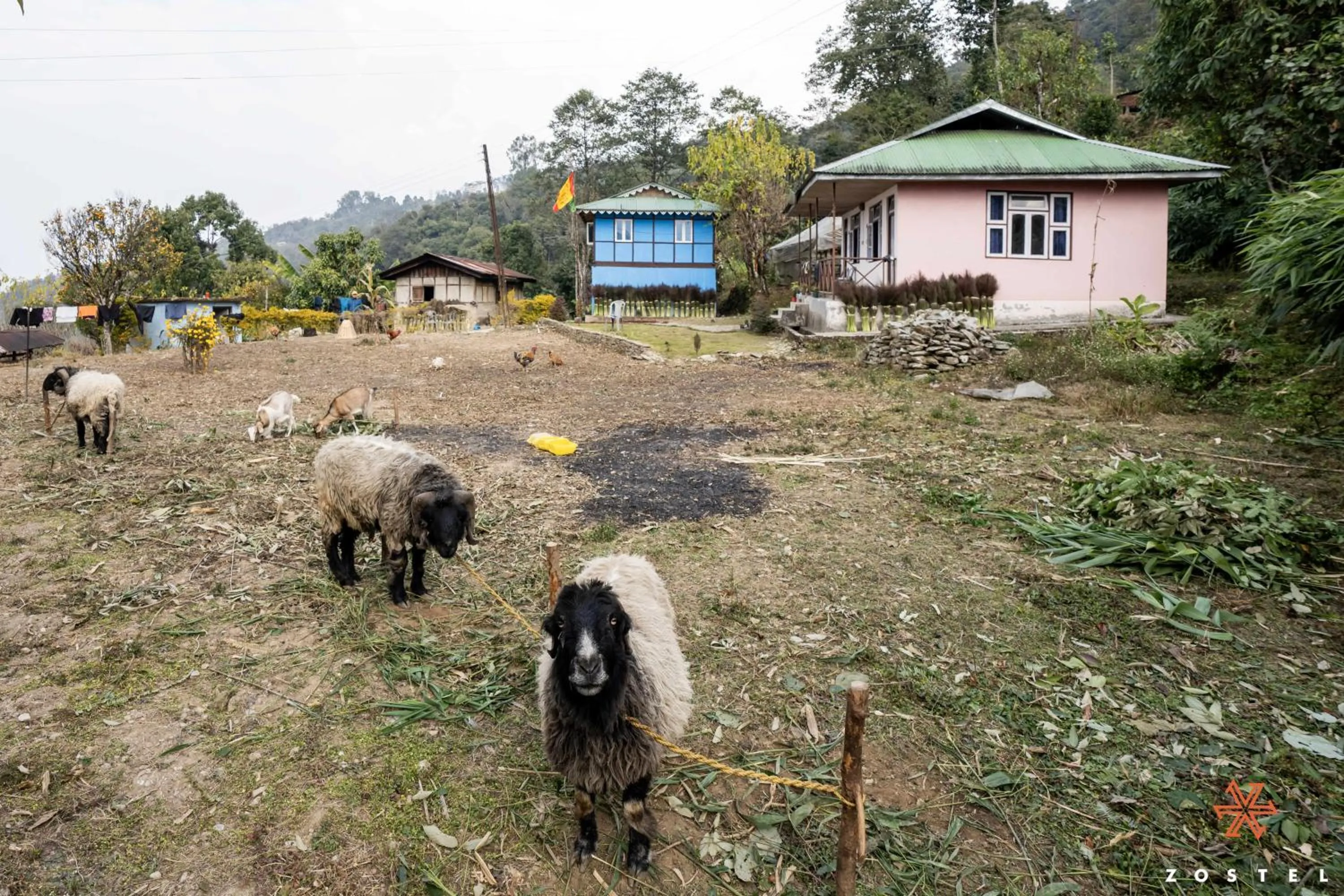 Neighbourhood in Zostel Rinchenpong (Pelling)