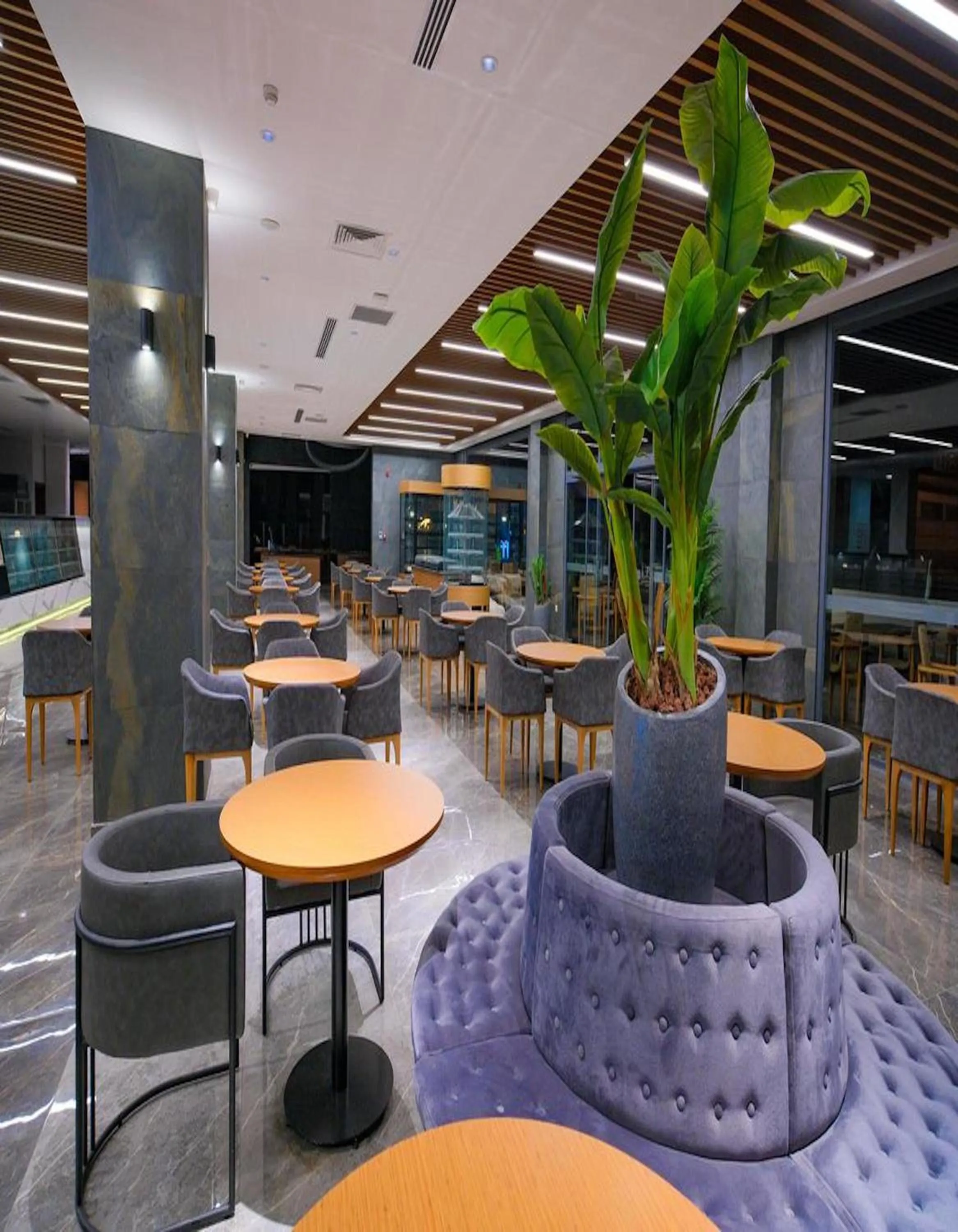 Restaurant/places to eat in Ekor Elegance Hotel