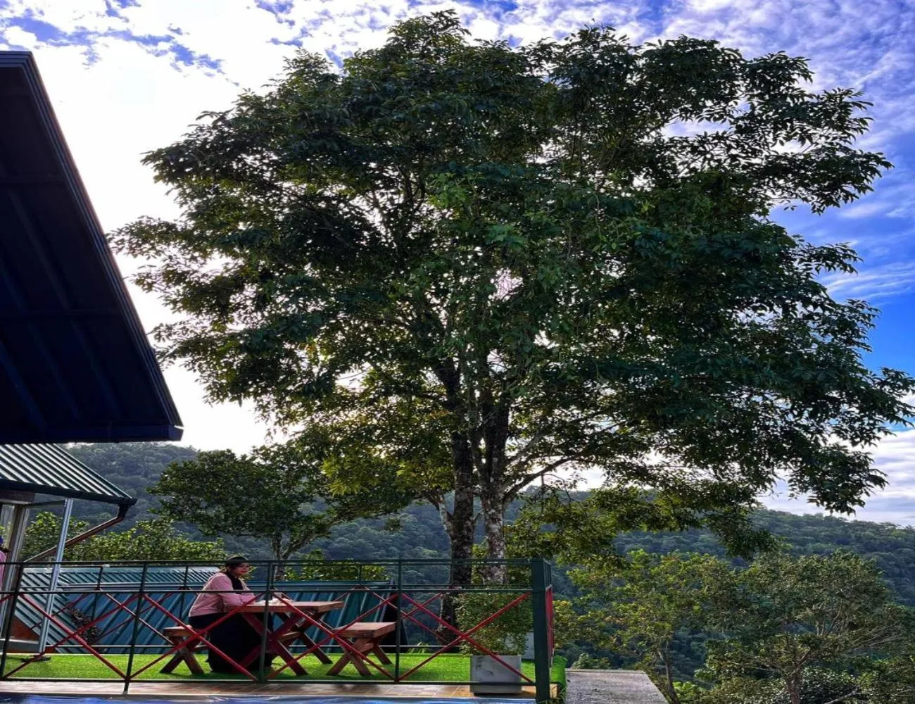 View (from property/room) in Vayalada View Point Resort