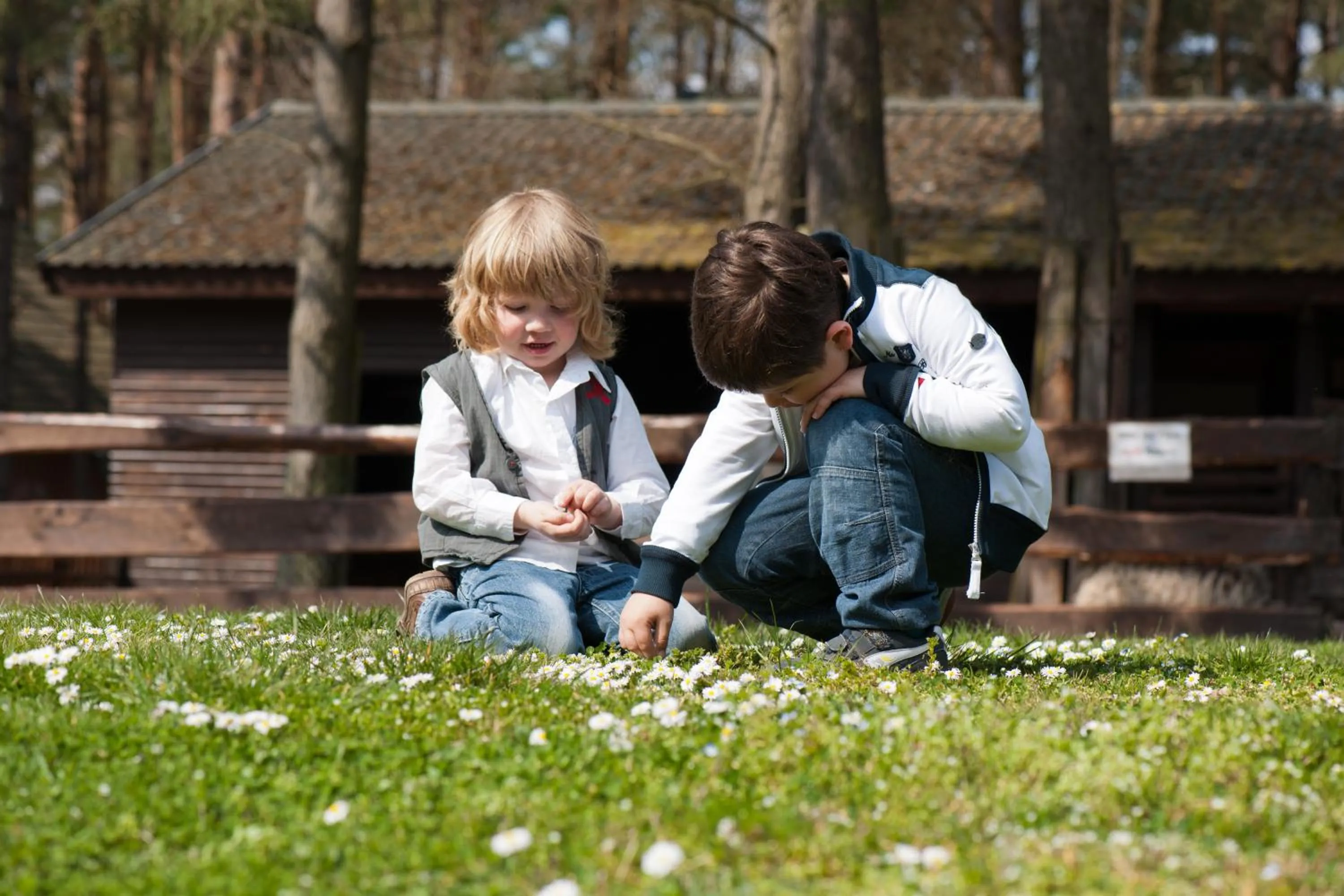Area and facilities in Van der Valk Naturresort Drewitz