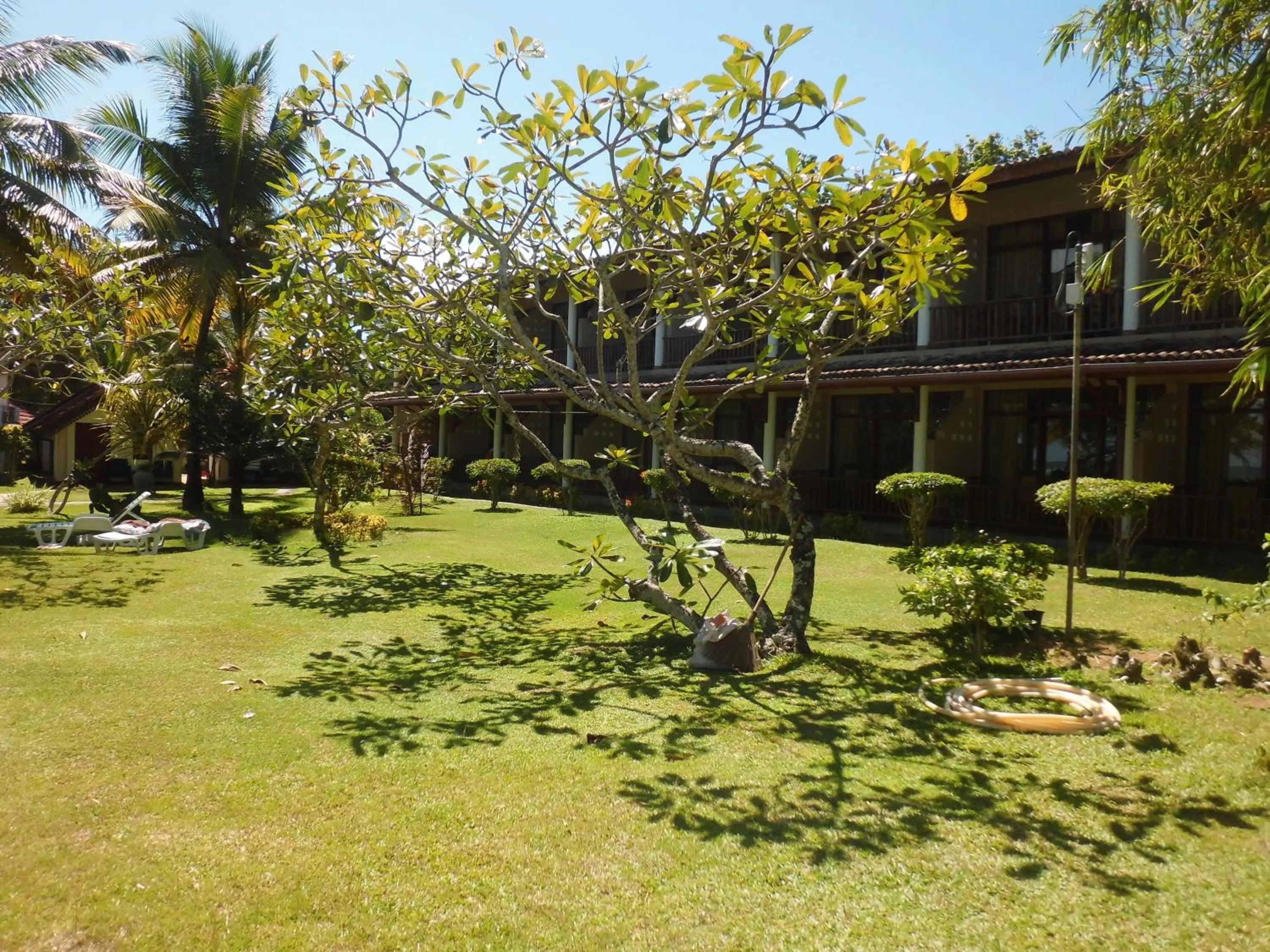 Garden in Paradise Beach Club