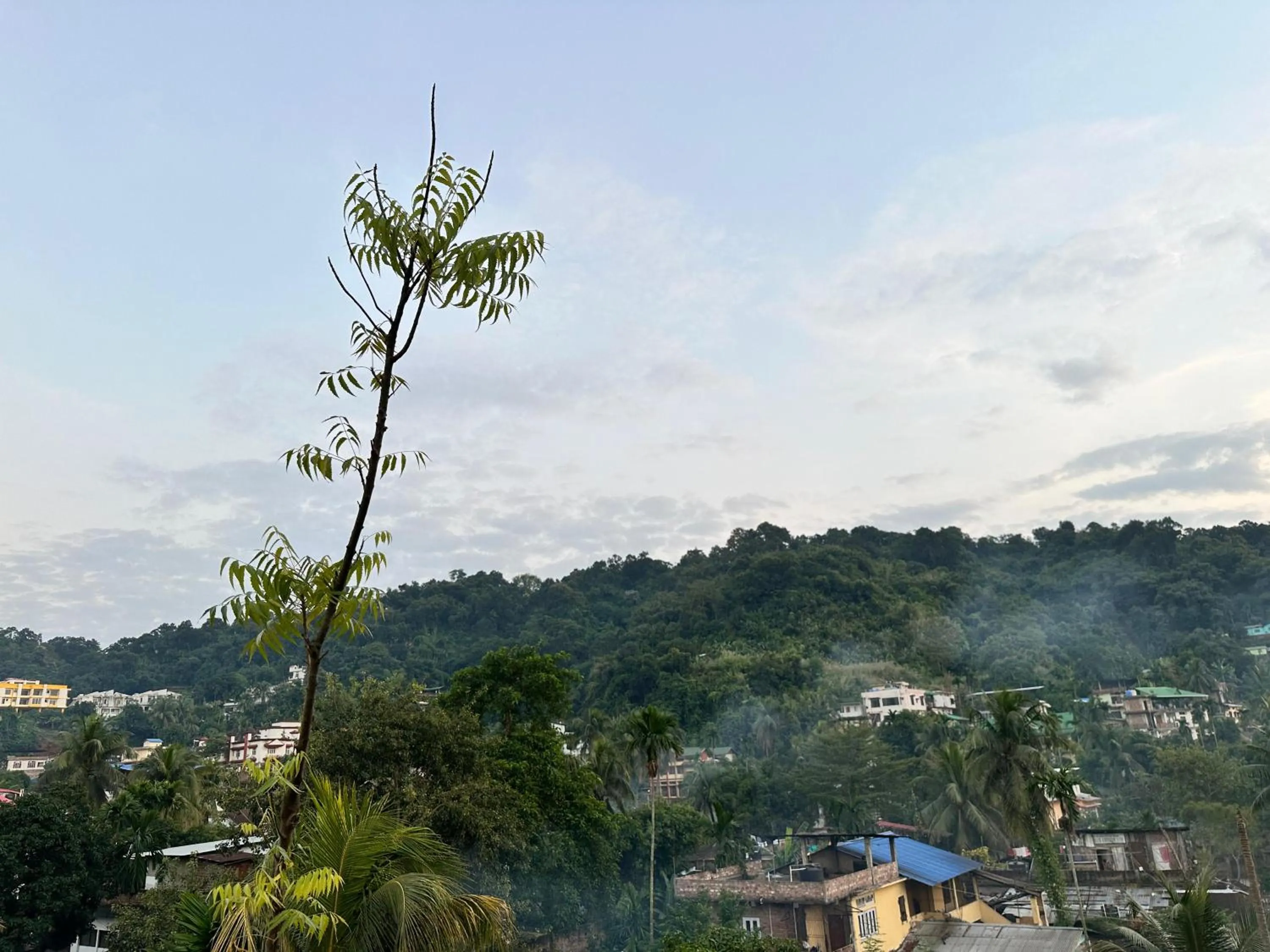 Day in The Dew Drop Hotel