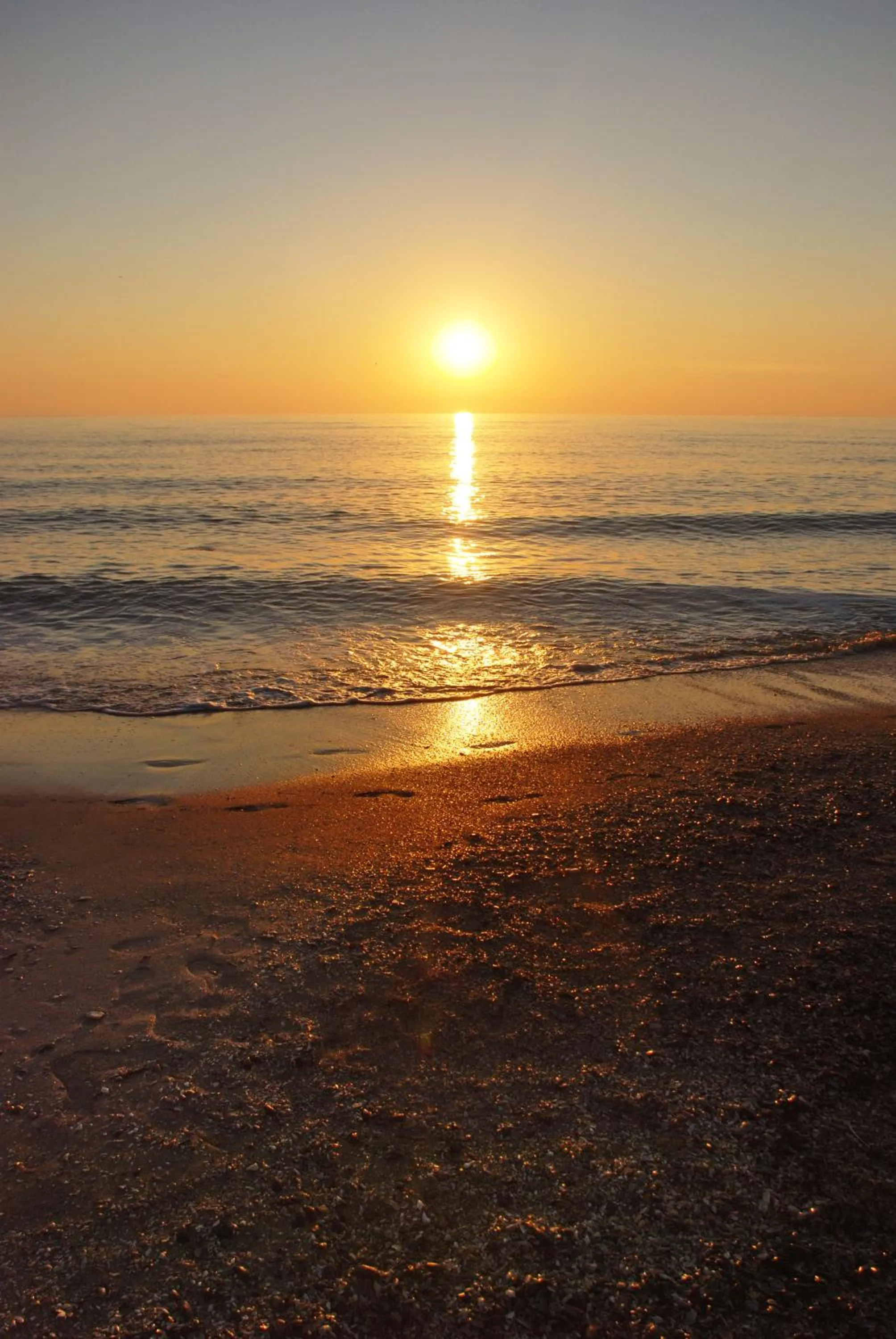 Area and facilities in Hotel Scoica