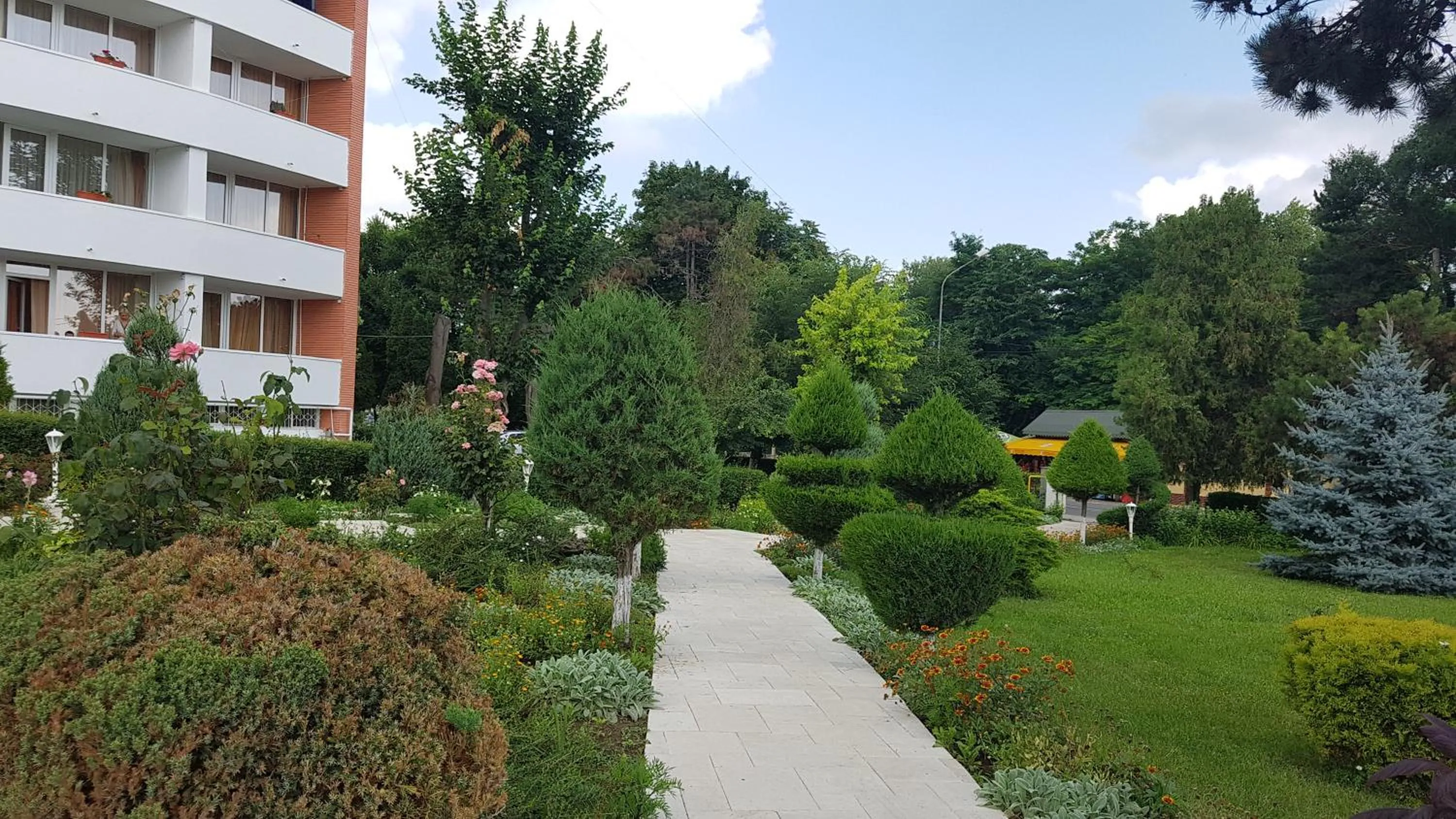 Garden view in Hotel Scoica