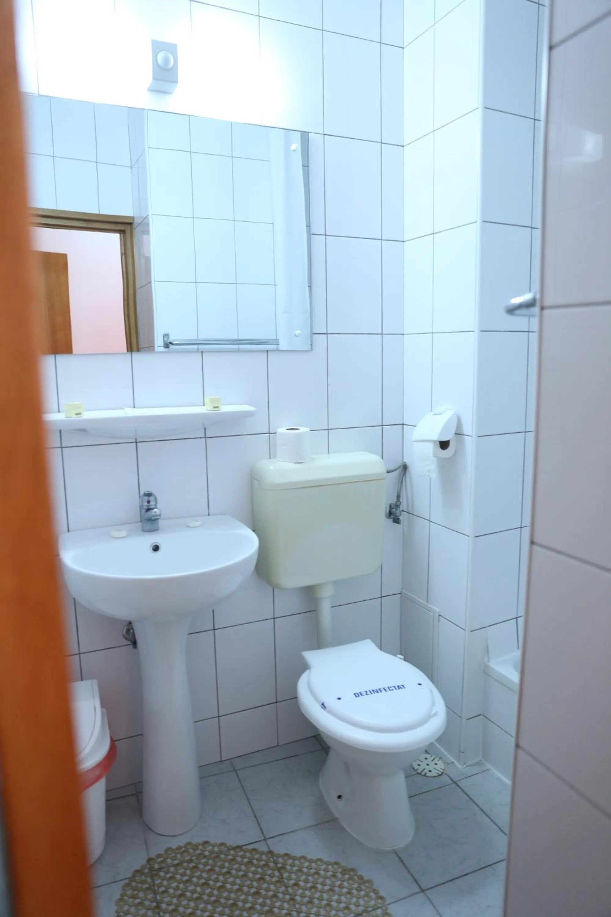 Bathroom in Hotel Scoica