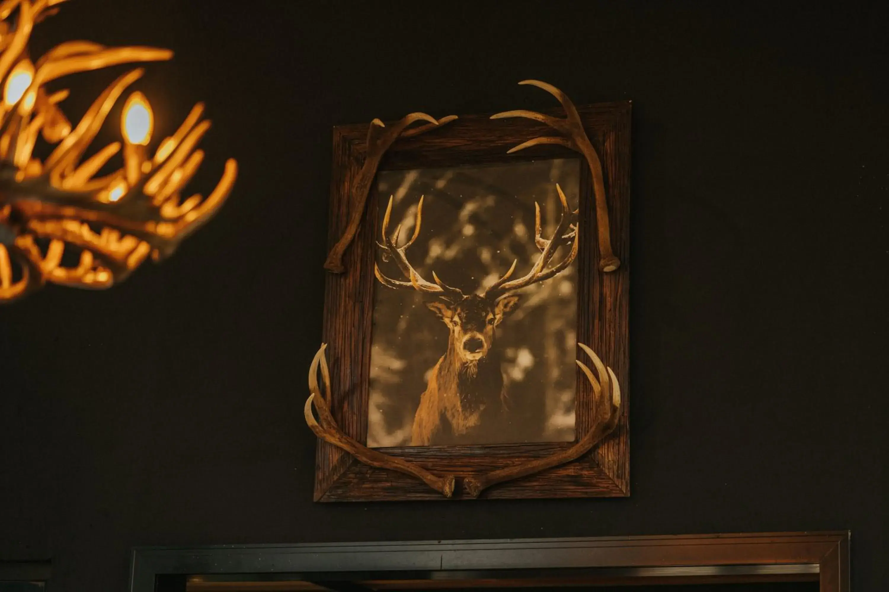 Lounge or bar in LAS HOTEL BOUTIQUE Lounge or bar in LAS HOTEL BOUTIQUE