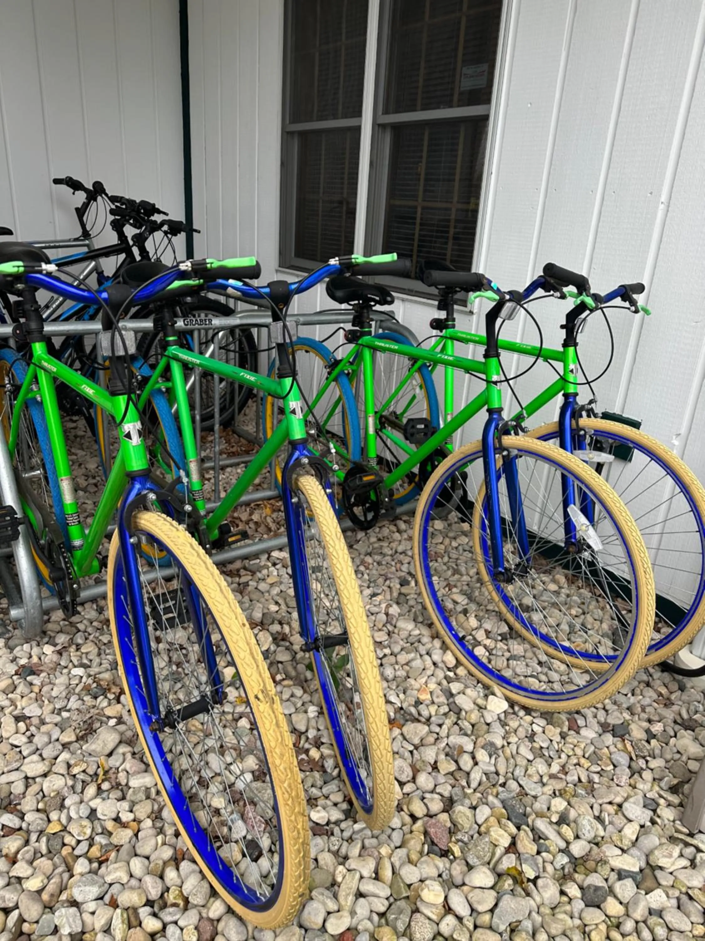 Cycling in Birchwood Lodge