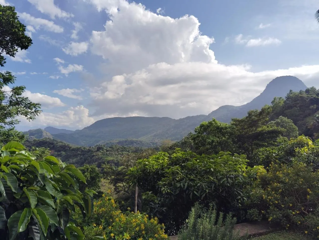Mountain view in Knuckles Range Bungalow