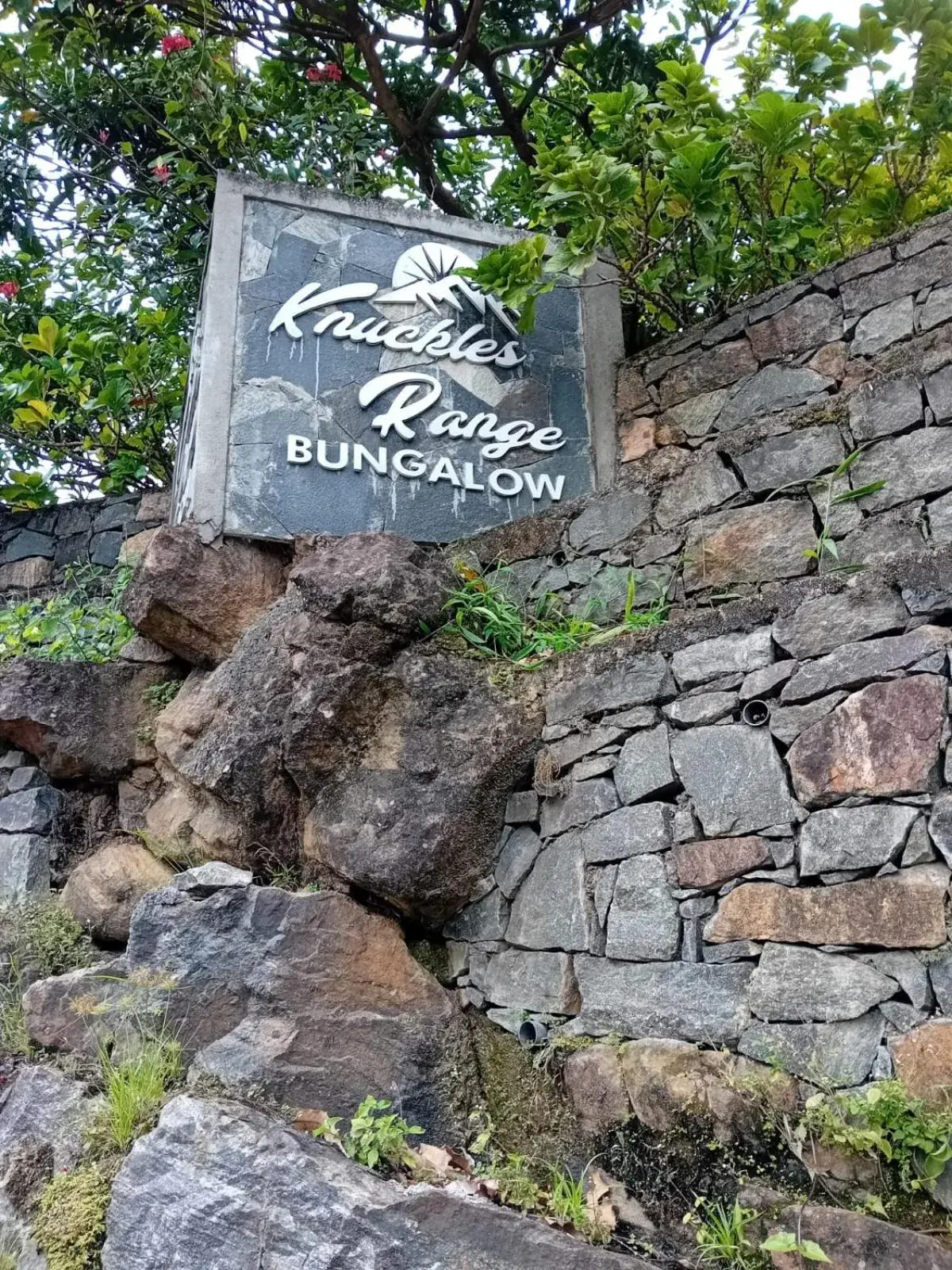 Knuckles Range Bungalow Knuckles Range Bungalow