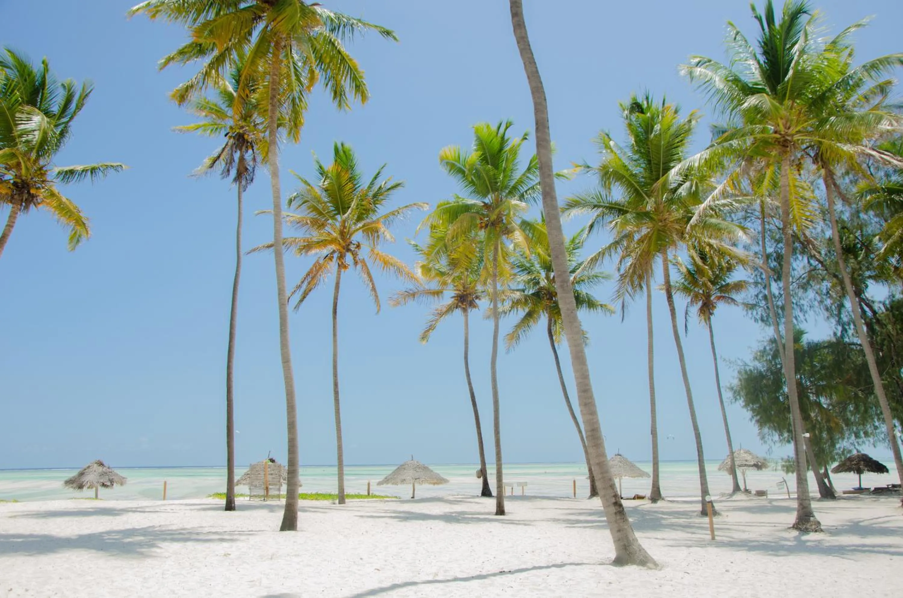 Beach in Cristal Resort