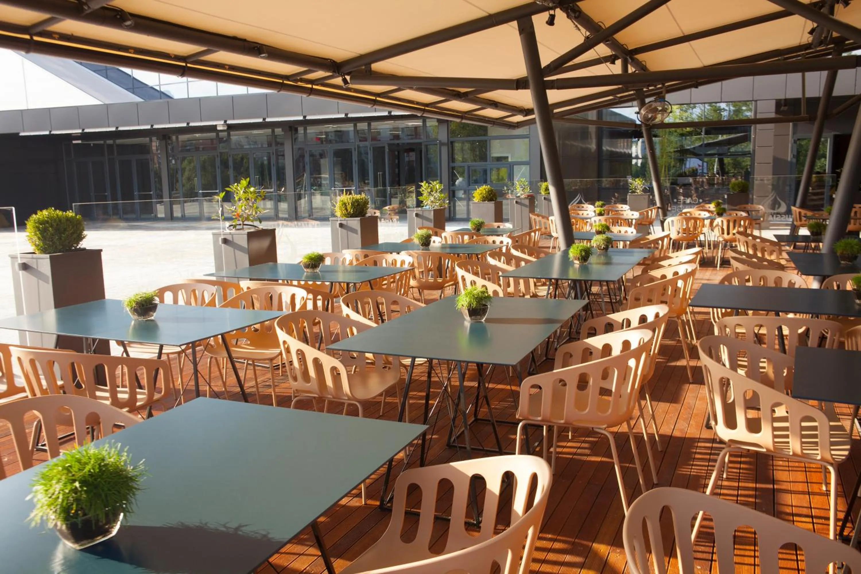 Restaurant/places to eat in Hotel Russia