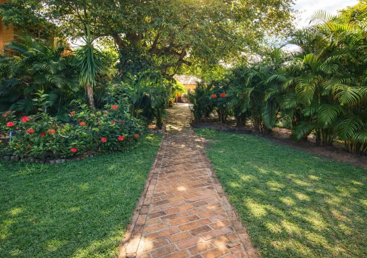 Garden in Hotel Cumuruxatiba