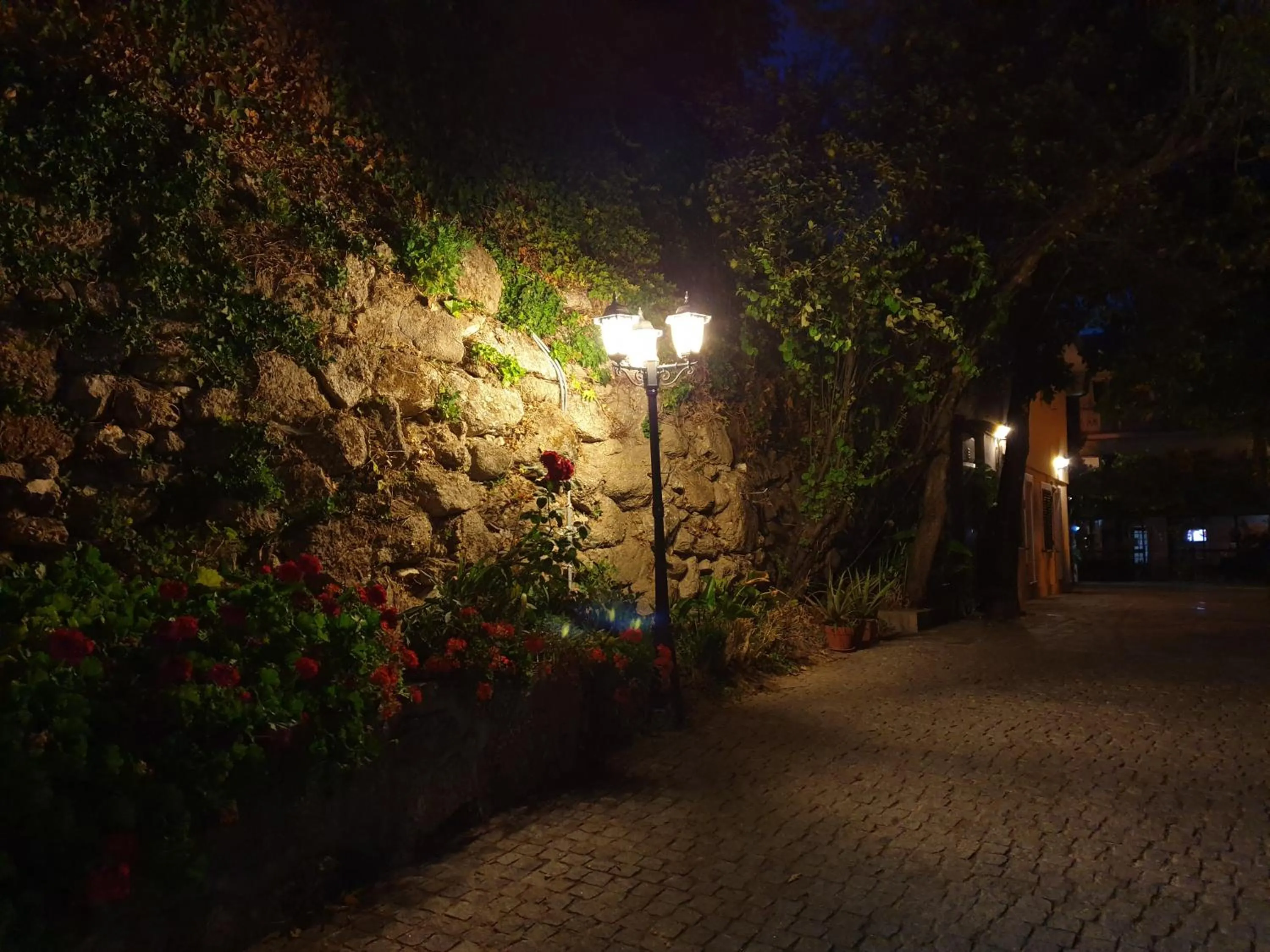 Facade/entrance in Casa Dos Santos Alojamento - Guest House