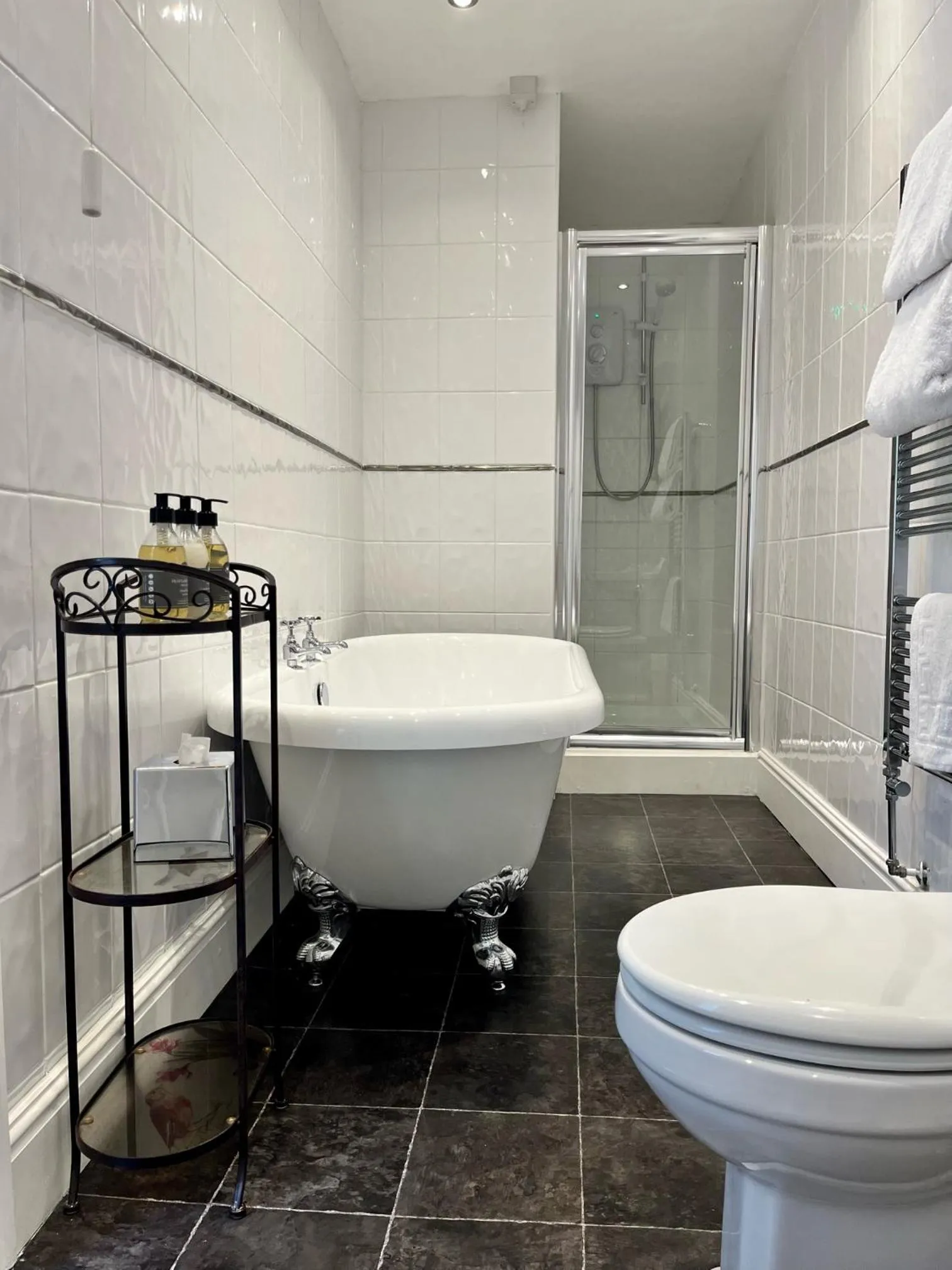 Bathroom in Coed Mawr Hall Bed & Breakfast