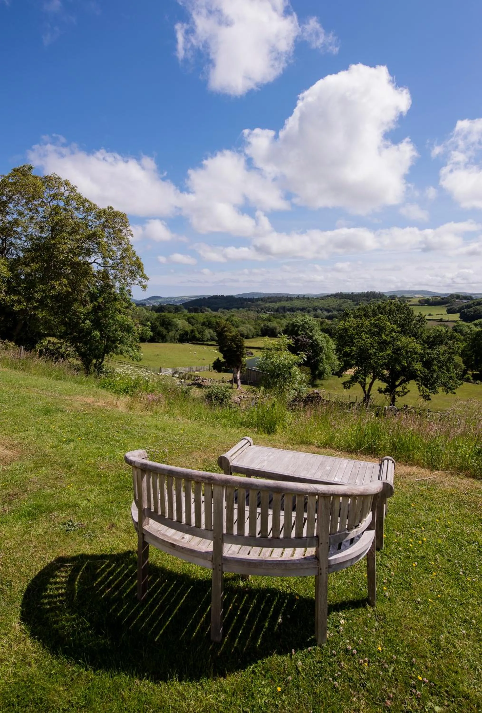 View (from property/room) in Coed Mawr Hall Bed & Breakfast