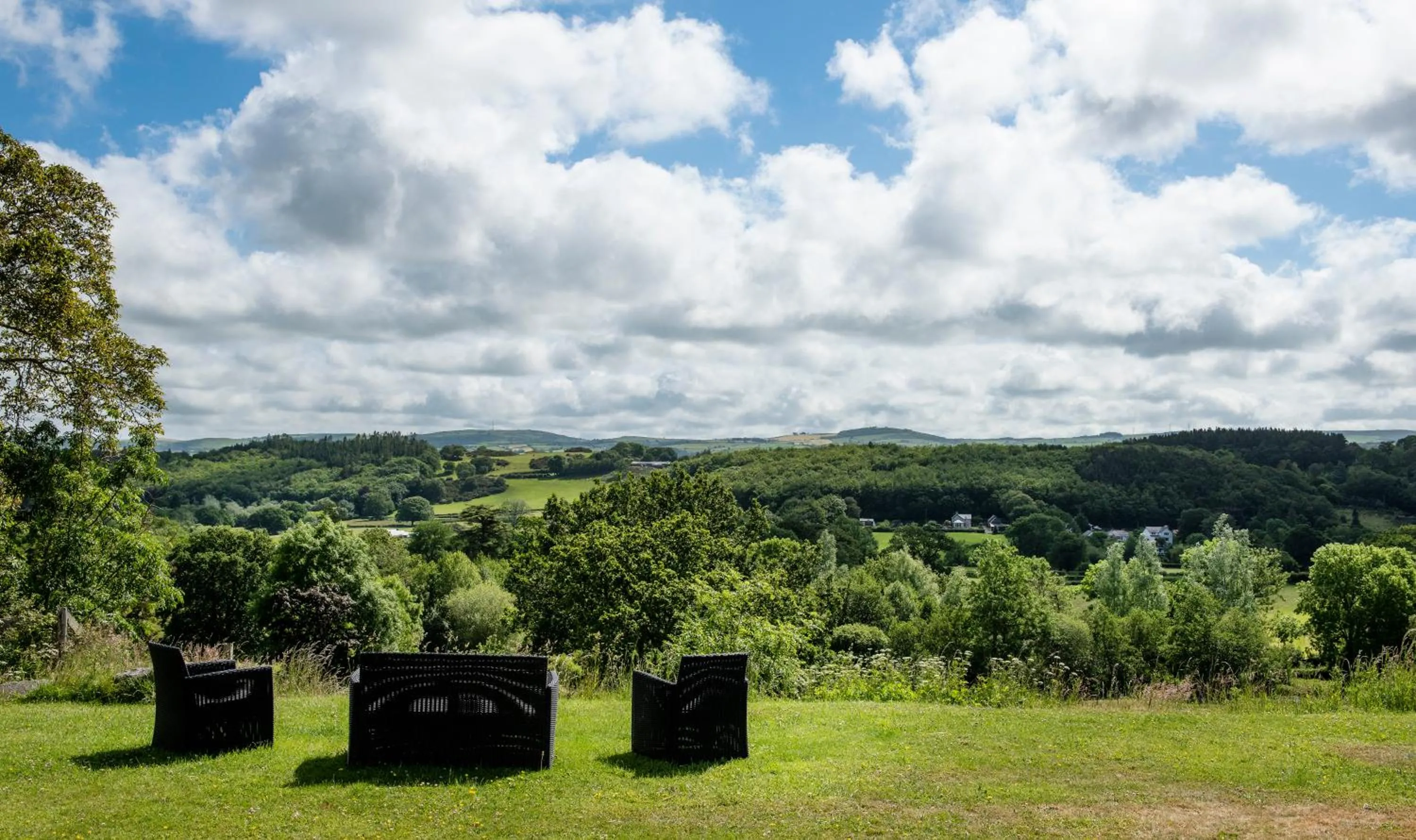 View (from property/room) in Coed Mawr Hall Bed & Breakfast