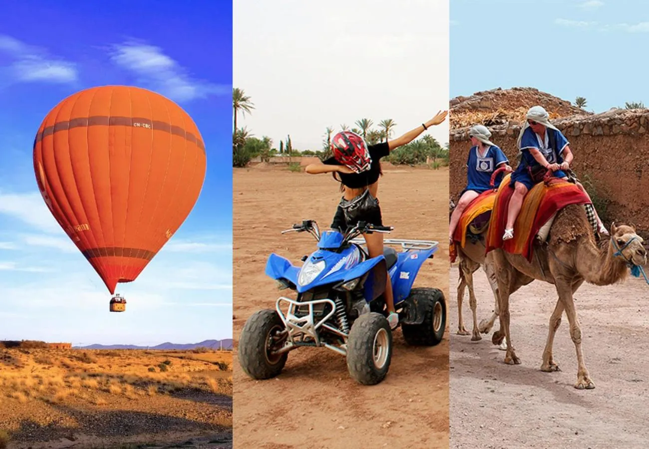 Animals in Whisper Hotel