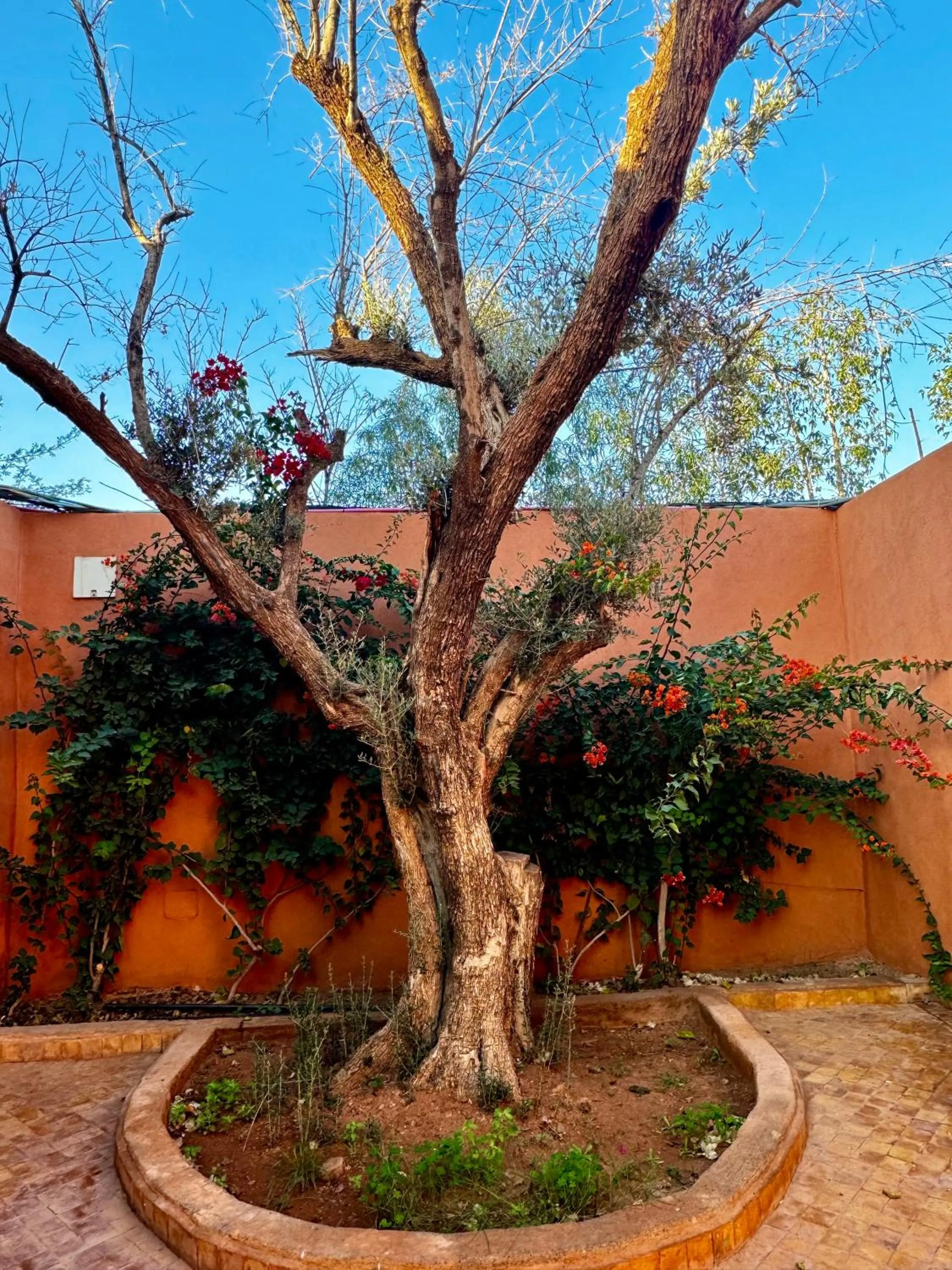 Day in Whisper Hotel