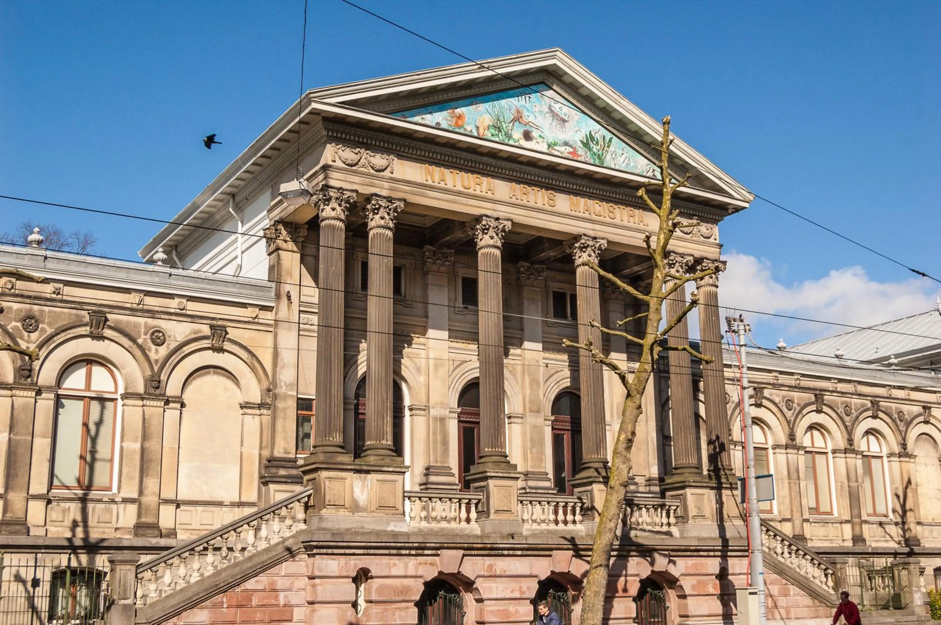 Property building in Hotel Park Plantage