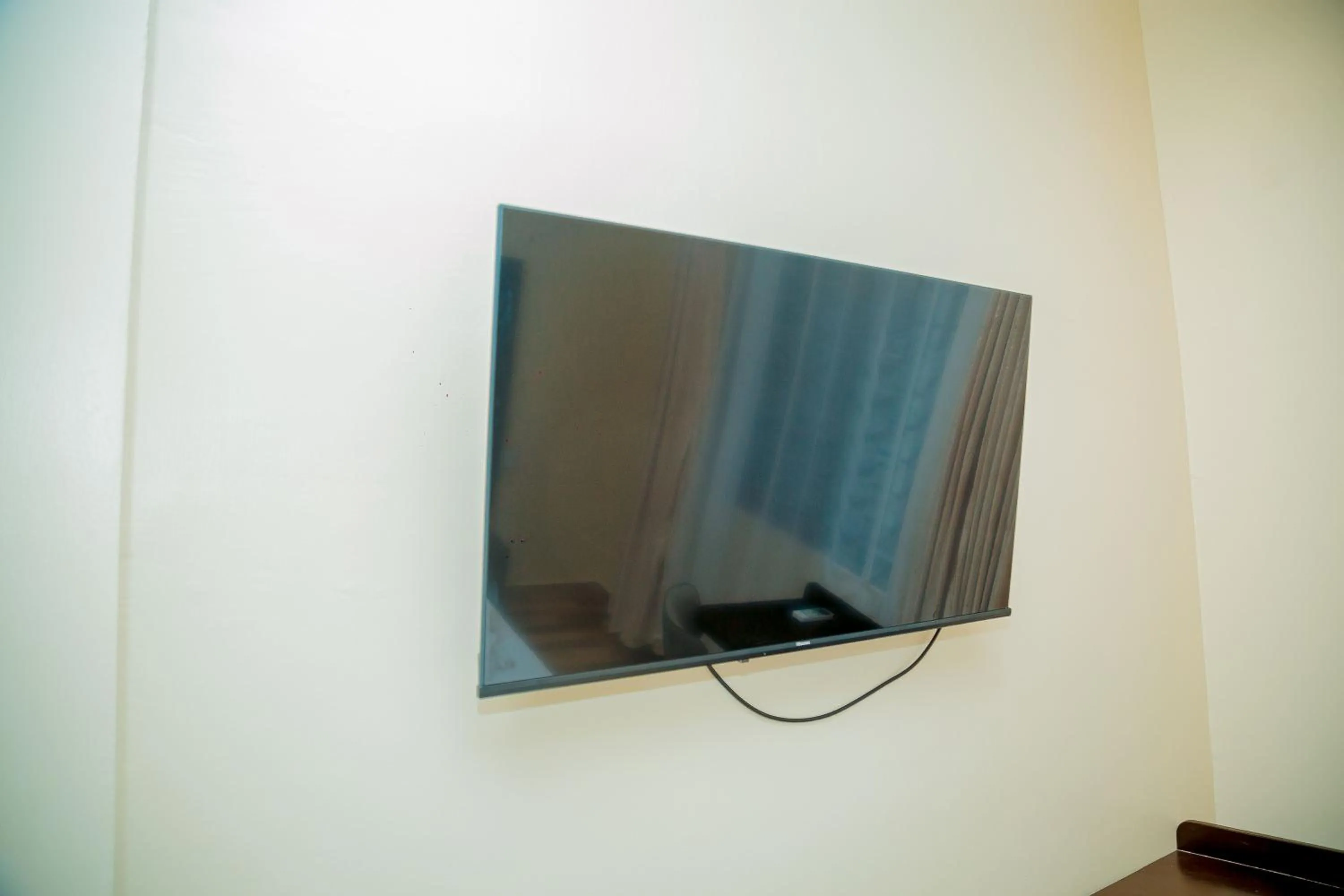 TV and multimedia in ANINY HOTEL