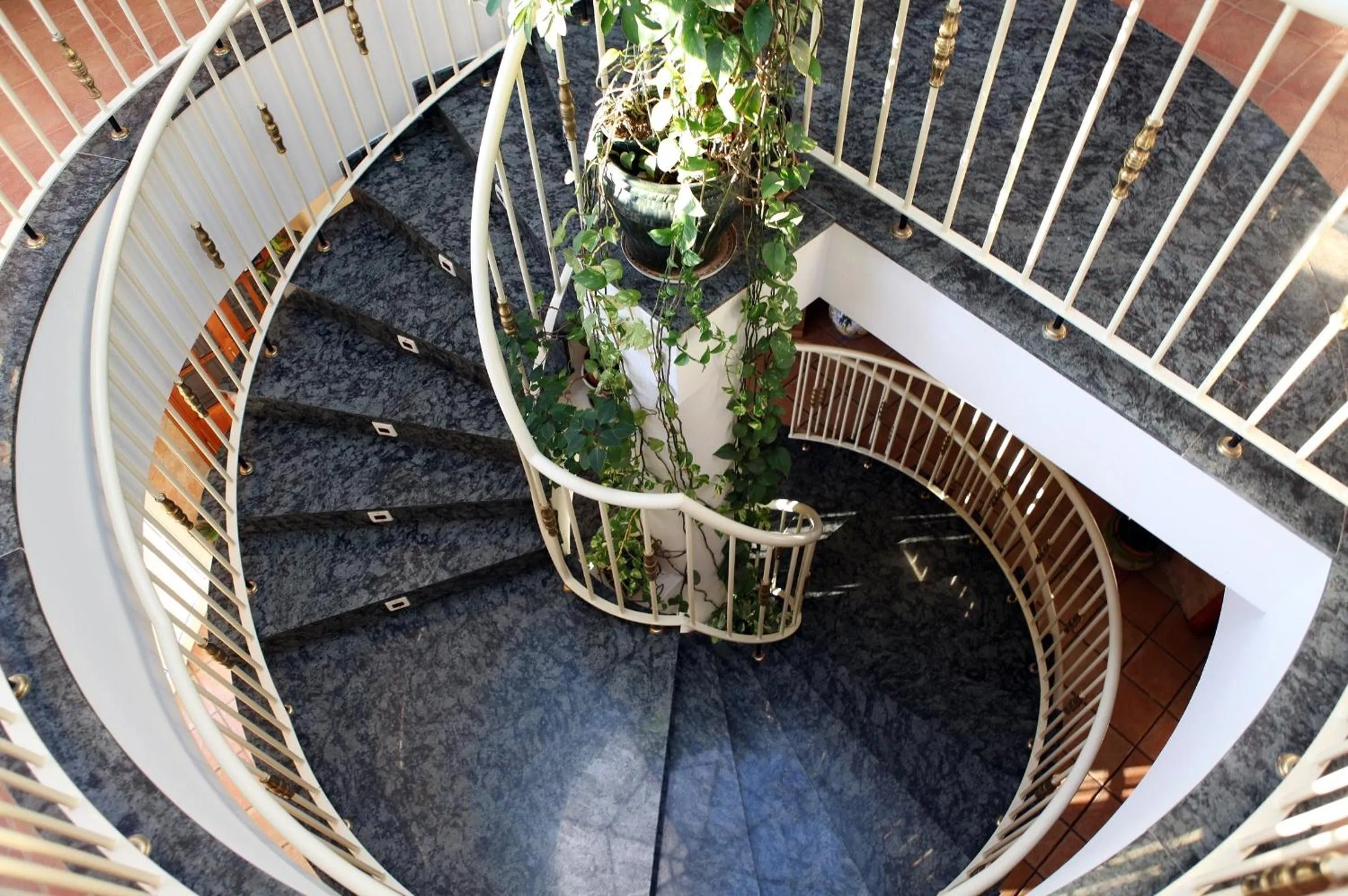 Decorative detail in Hotel Arco del Sol