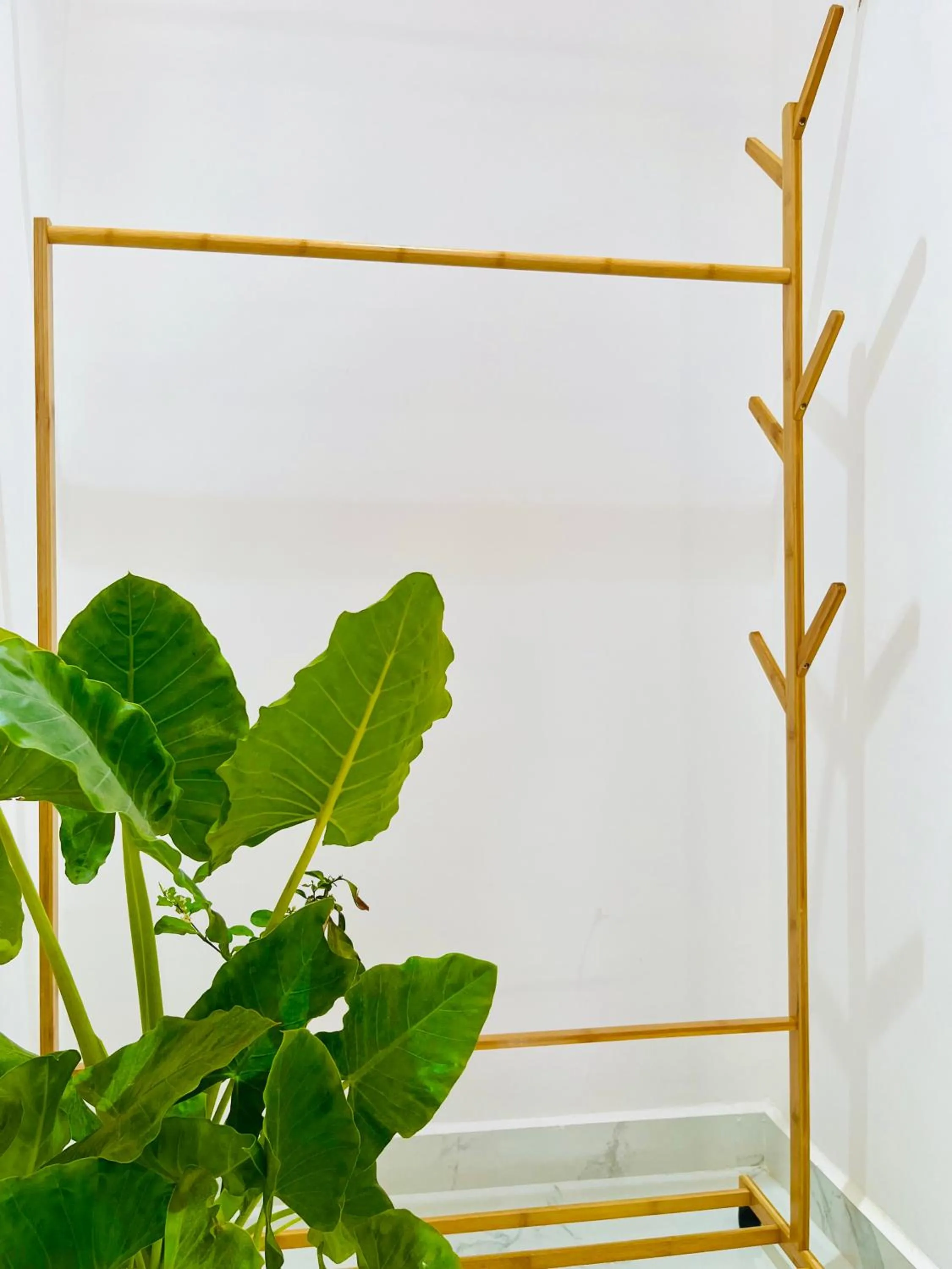 Garden in Crystall Goa Palolem