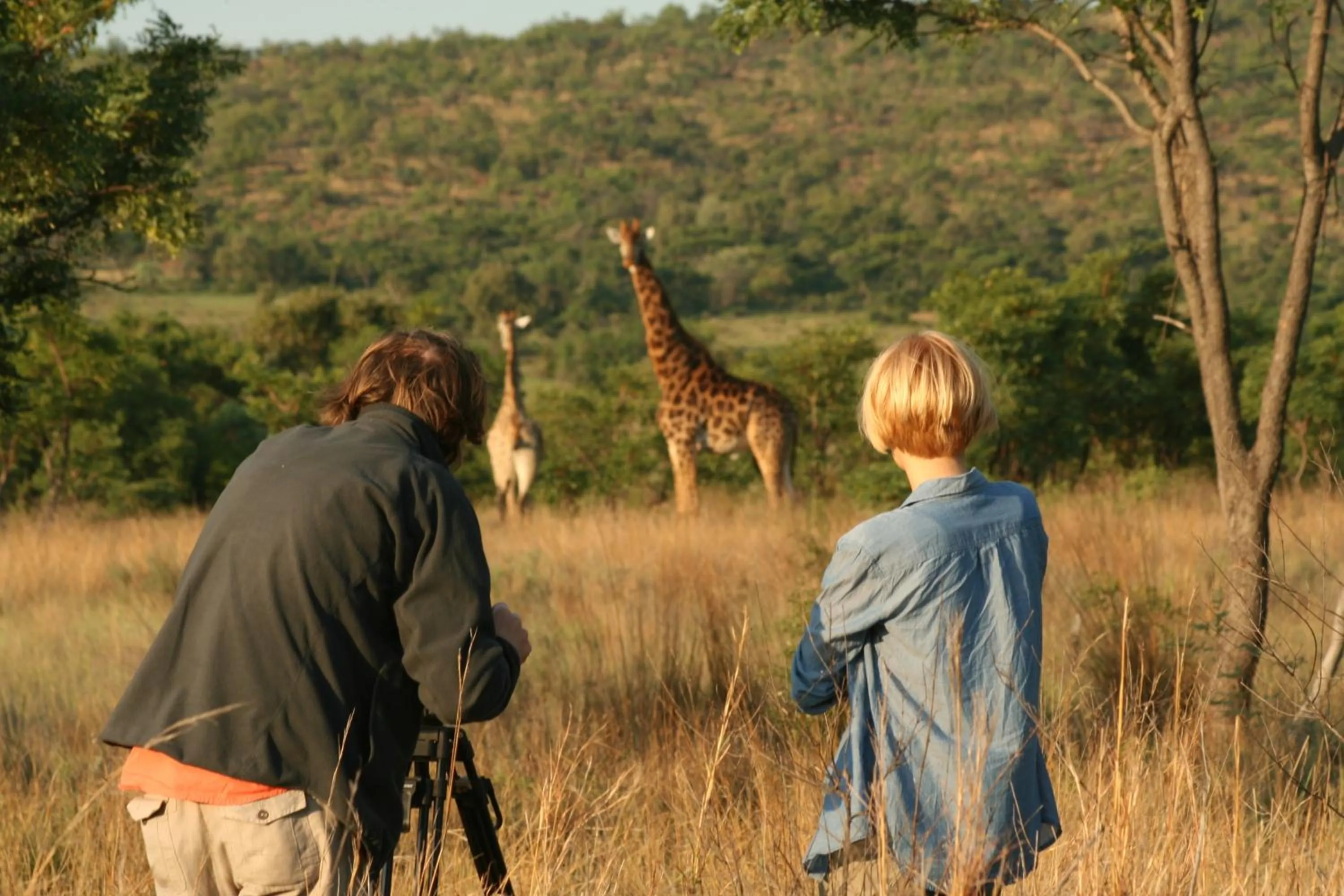 Animals in Makweti Safari Lodge