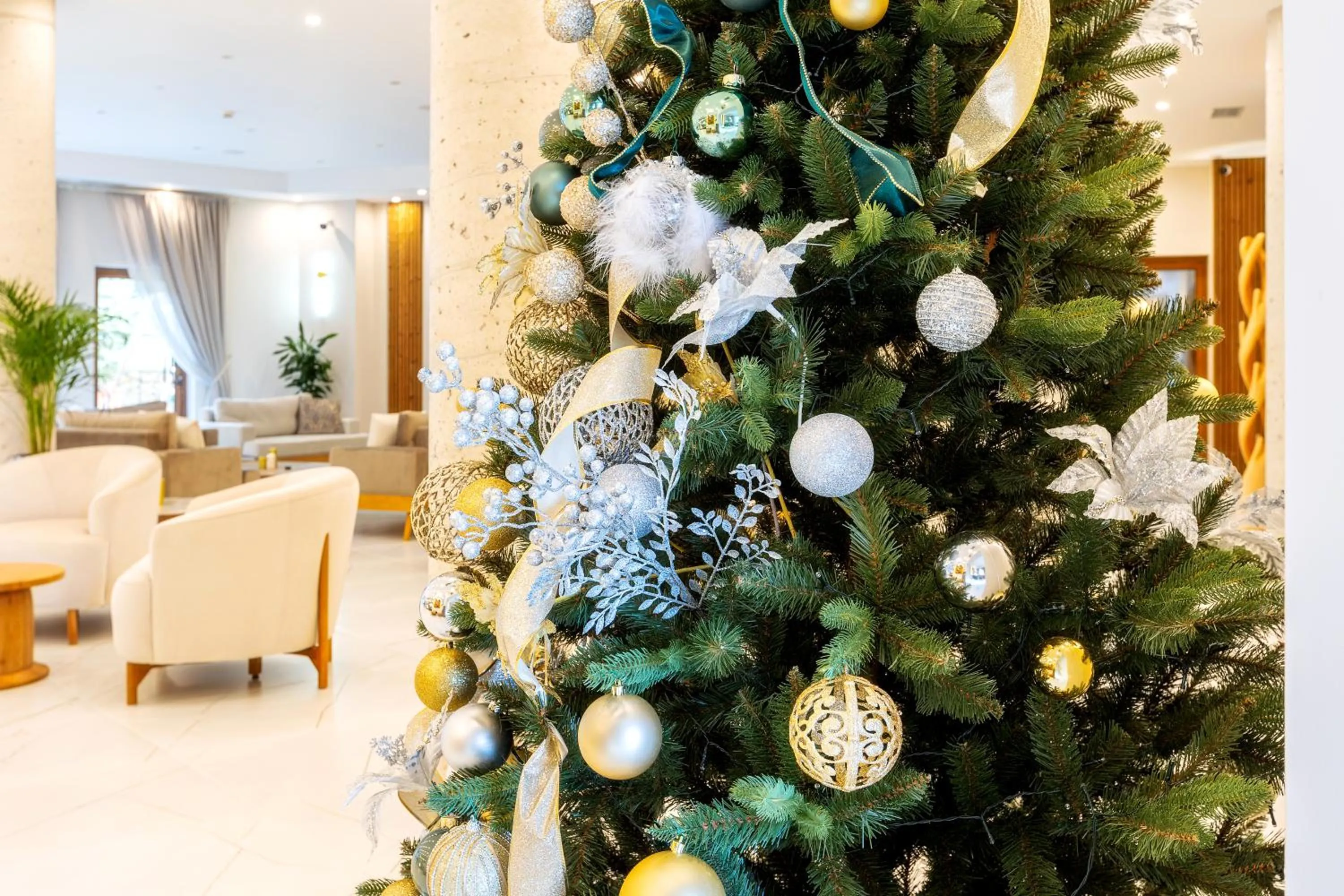 Lobby or reception in Pirin Sense Apartment Complex