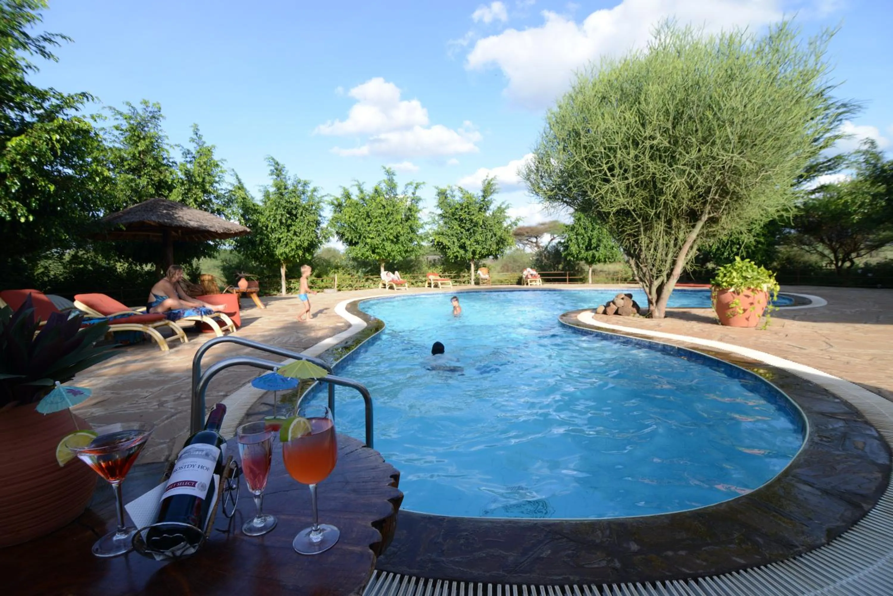 Swimming pool in Kibo Safari Camp