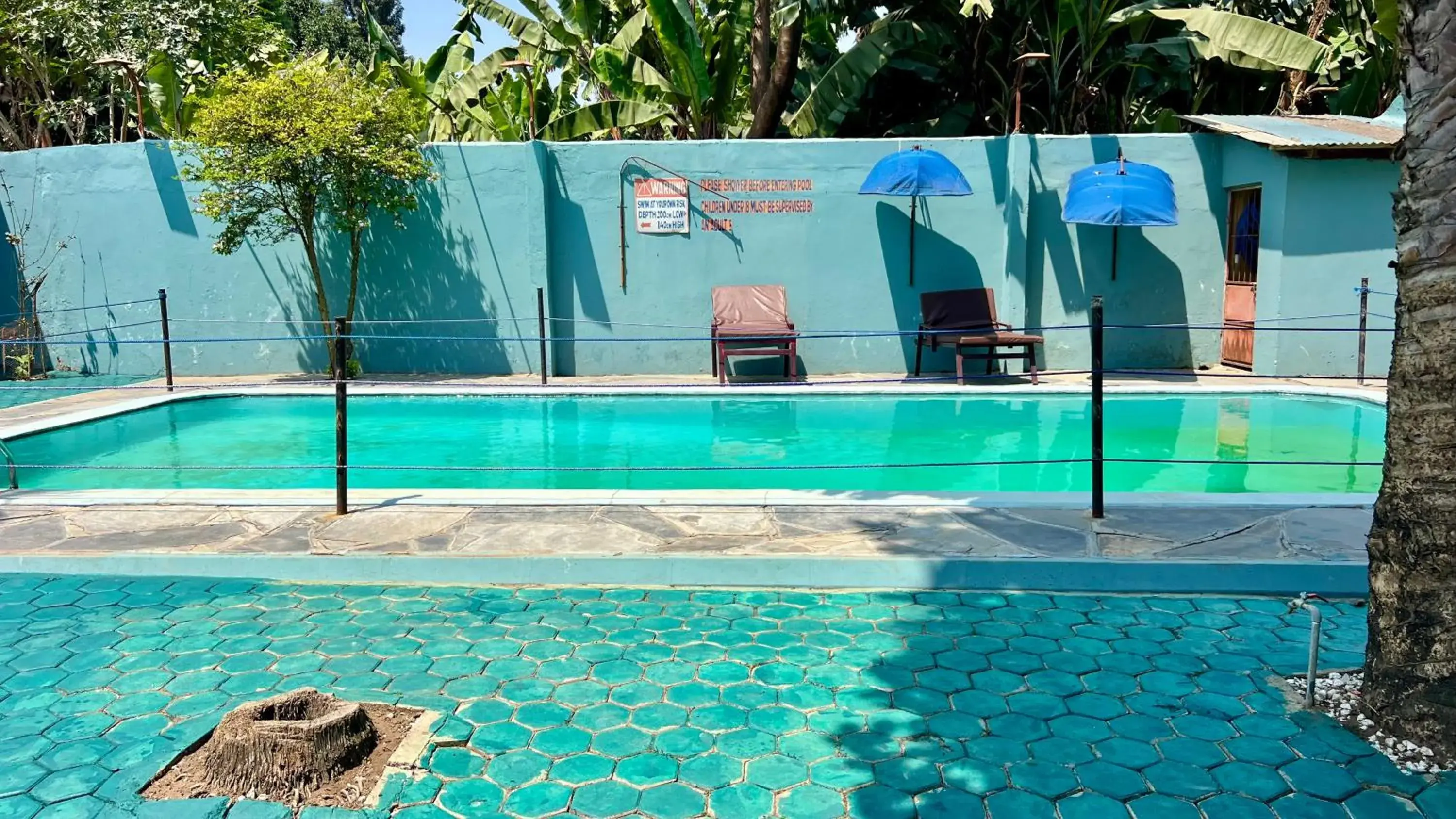 Pool view in Runako Hostel Pool view in Runako Hostel