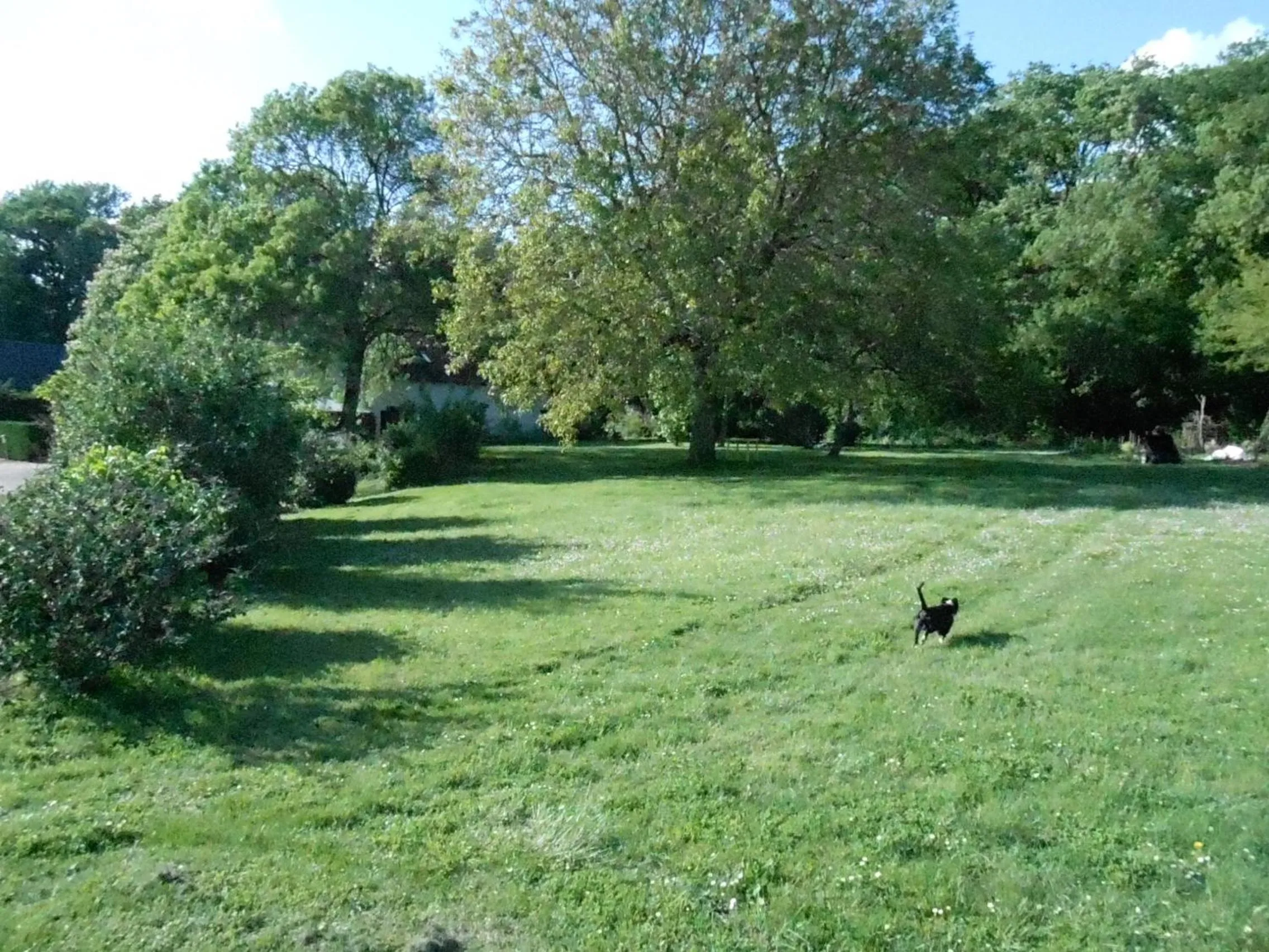 Garden view in B&B La Ferme des Bordes