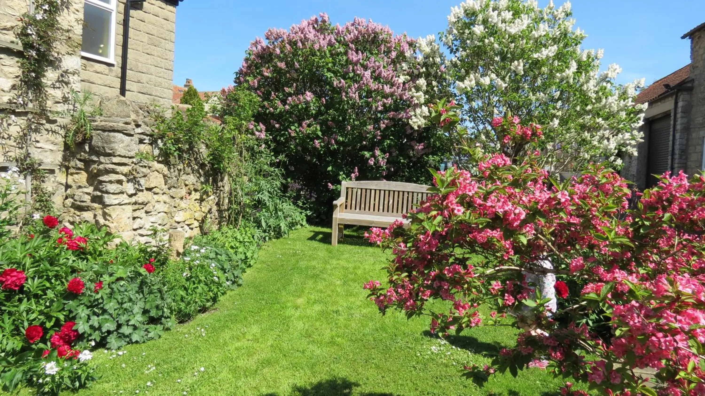 Pear Tree House B&B